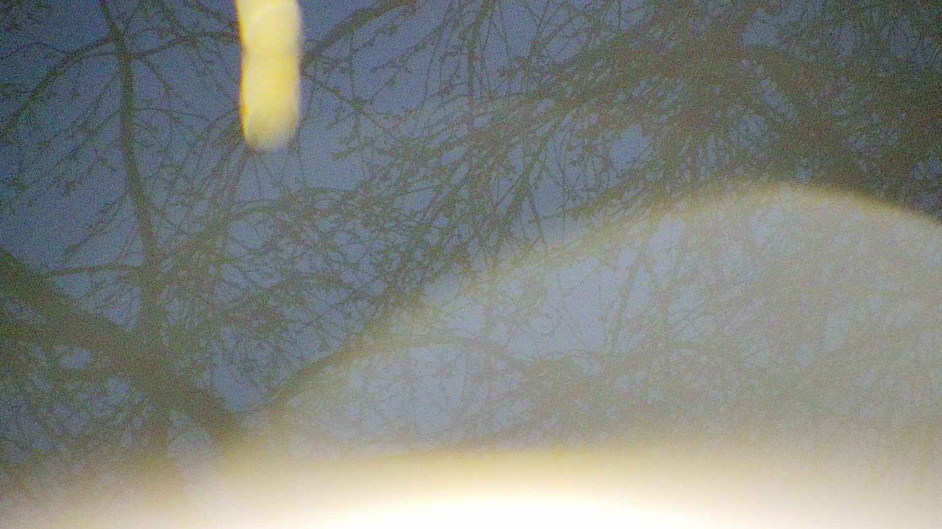 area5-20250415043055.jpg