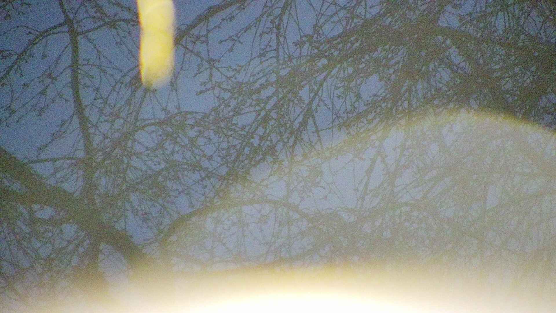 area5-20250415044053.jpg
