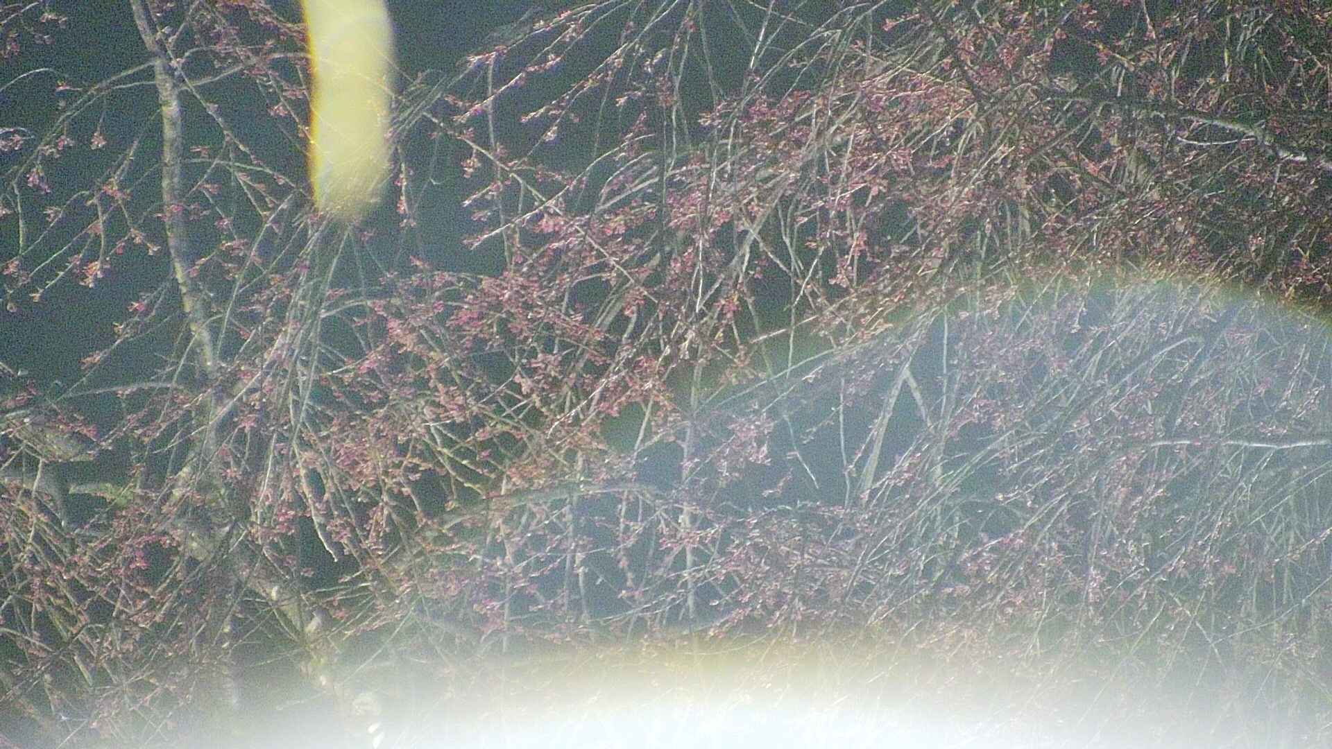 area5-20250415192056.jpg