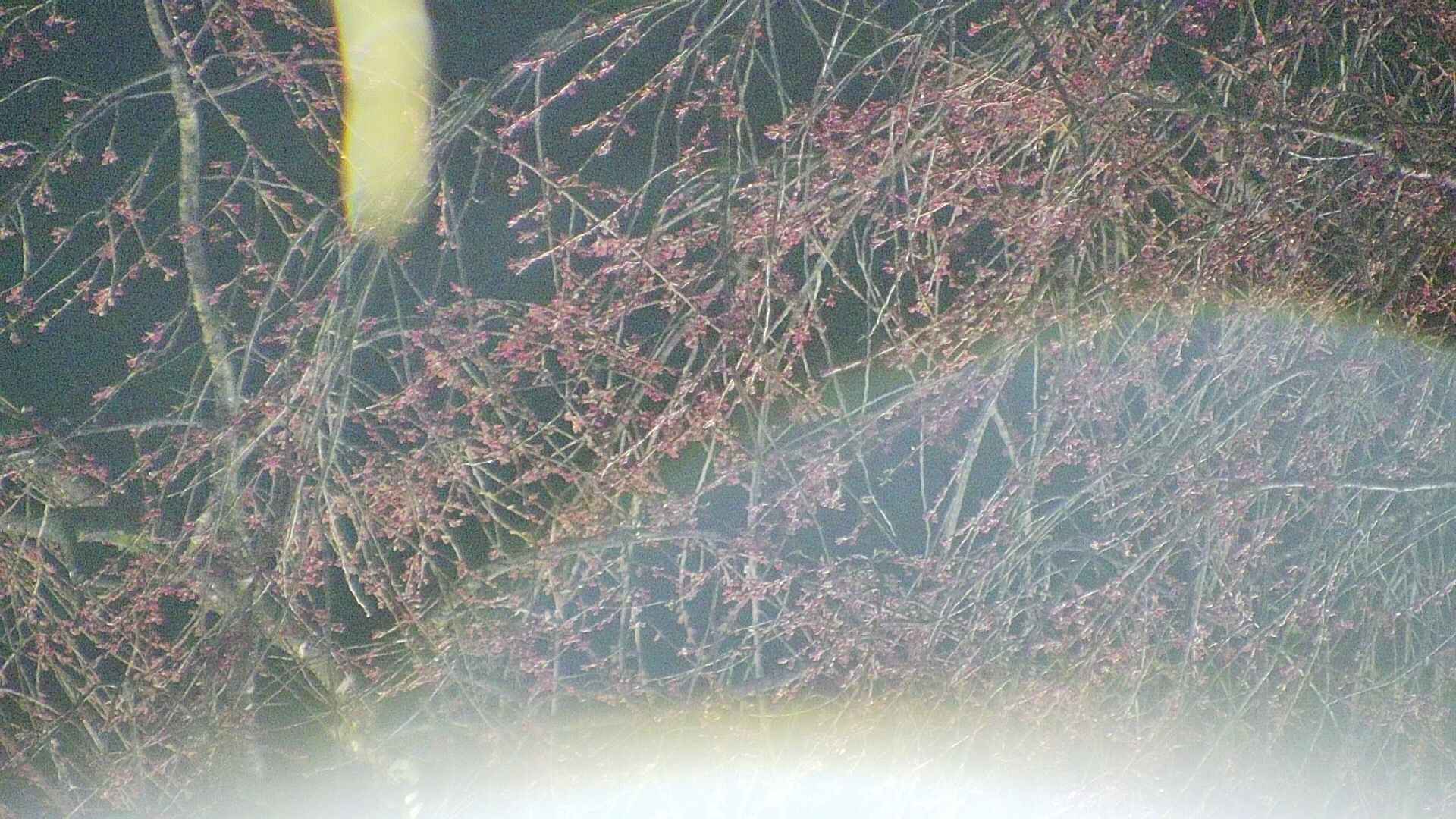 area5-20250415214053.jpg