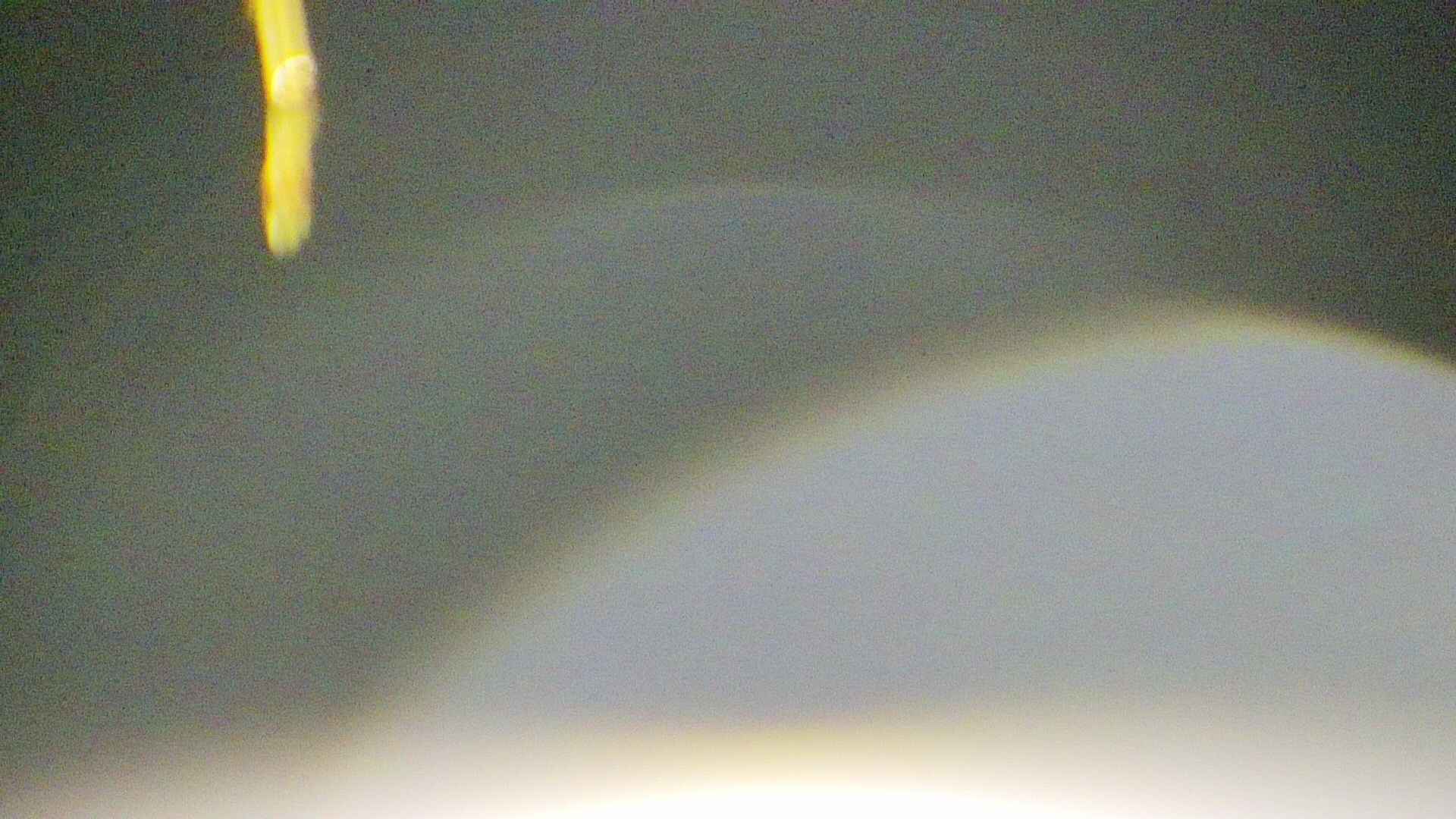 area5-20250416033054.jpg