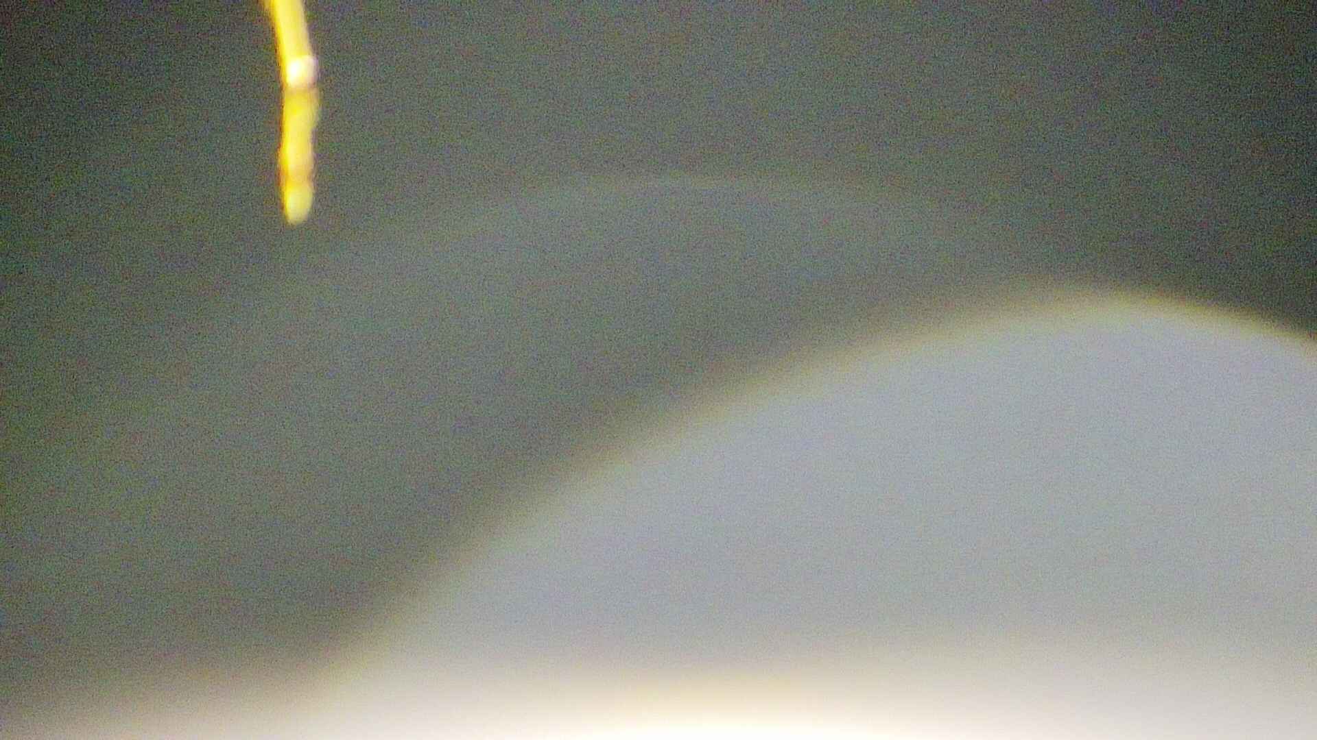area5-20250416041052.jpg