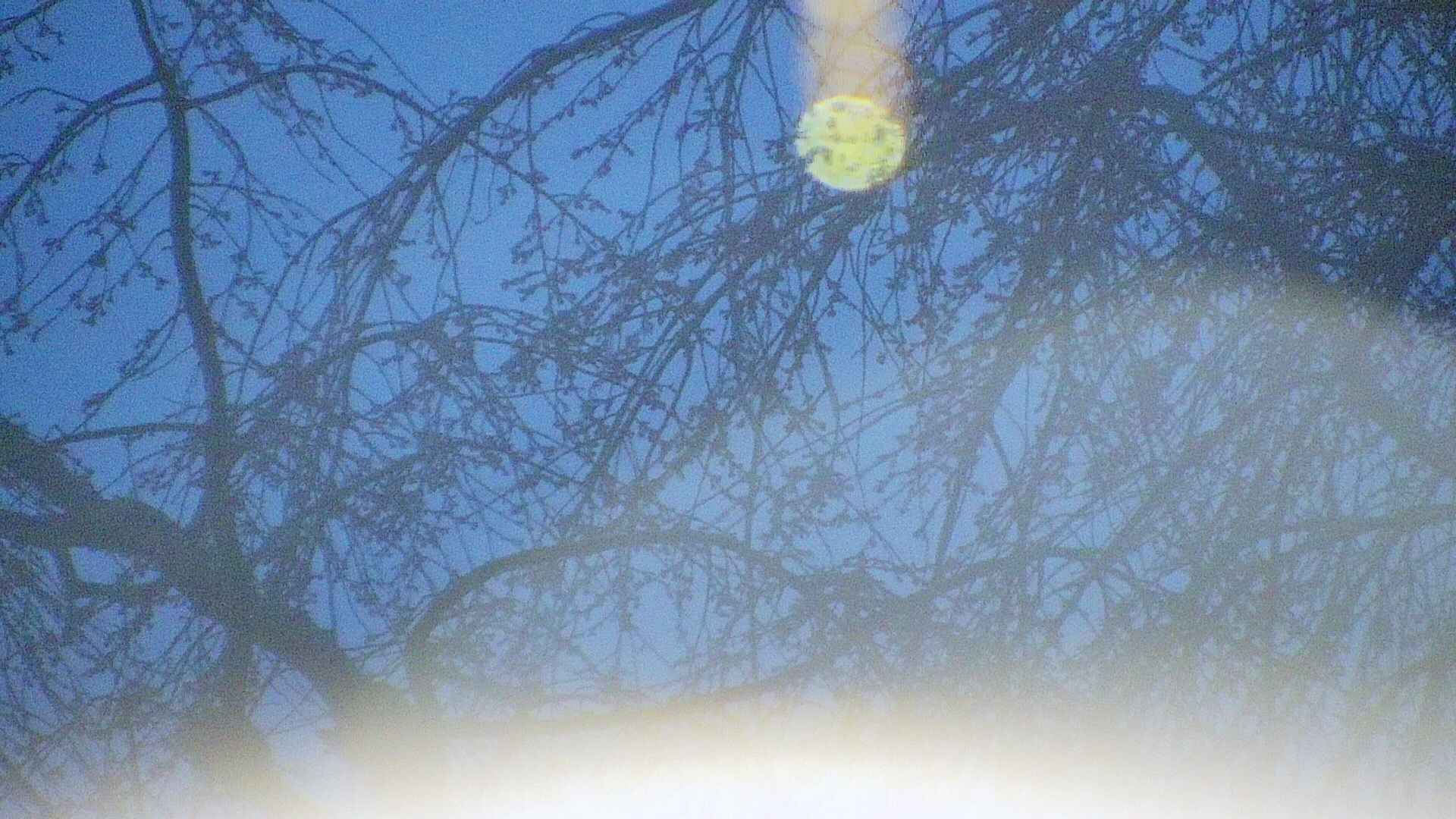 area5-20250416044053.jpg