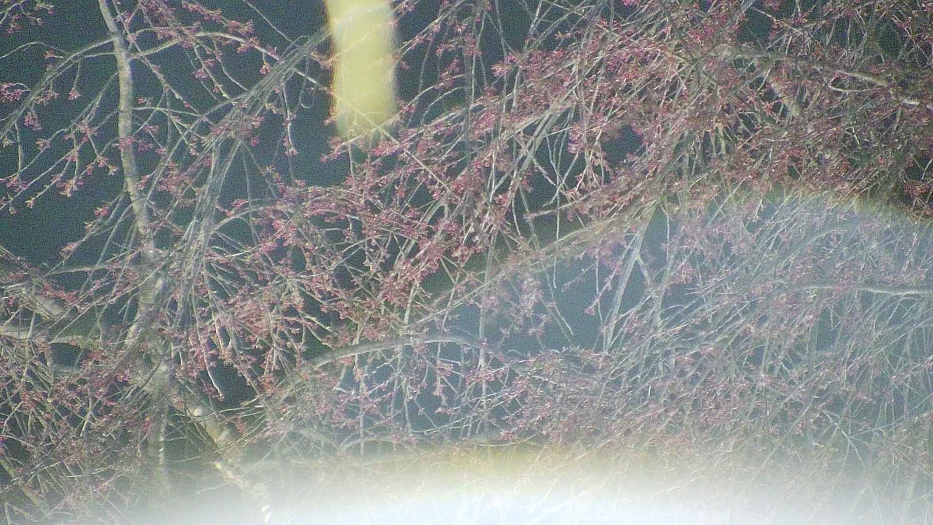 area5-20250416192053.jpg