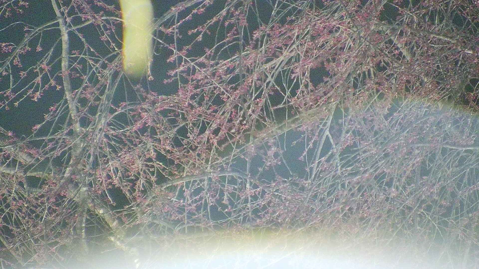 area5-20250416211054.jpg