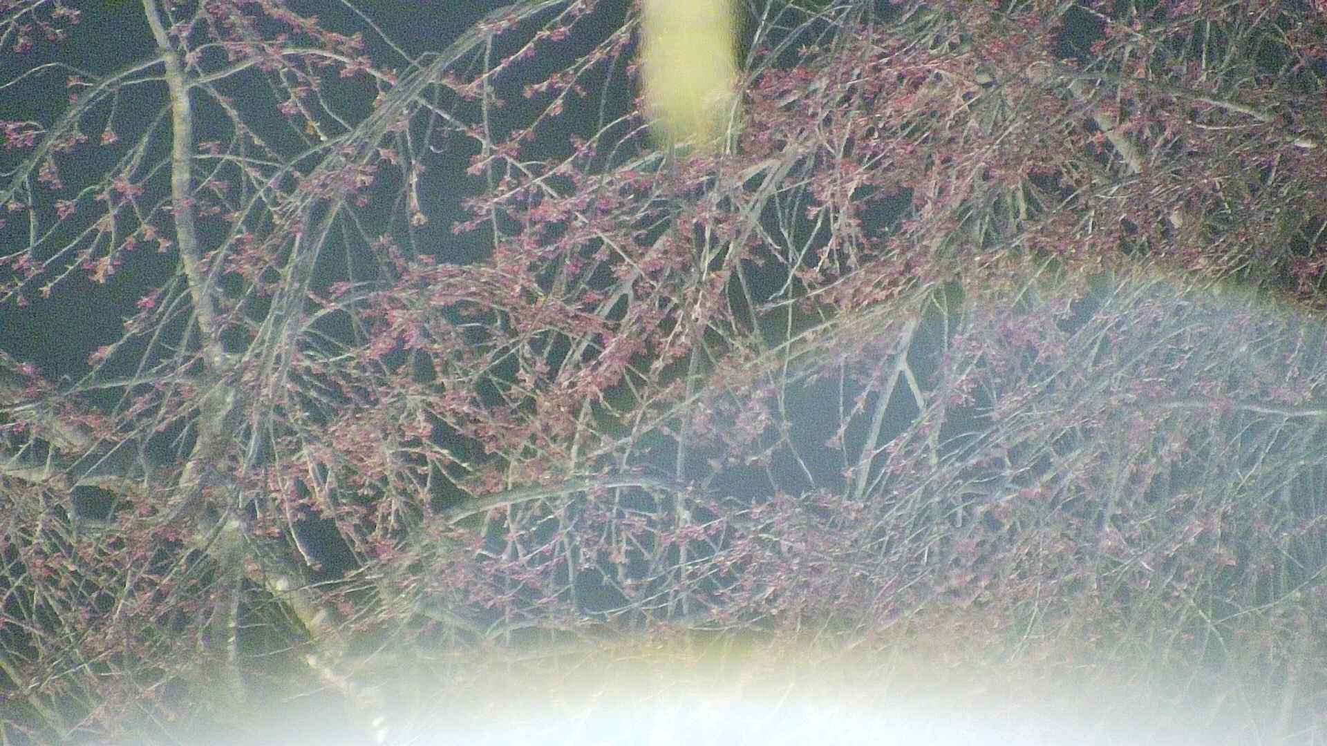 area5-20250416212054.jpg