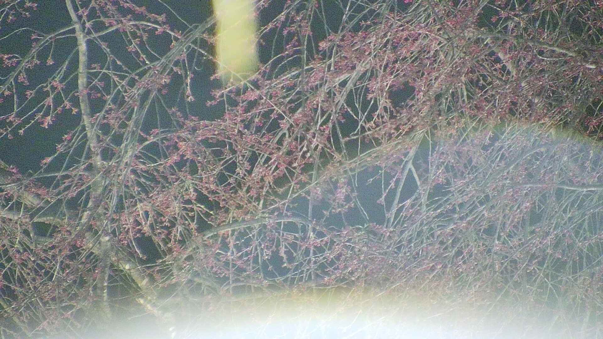 area5-20250416214054.jpg