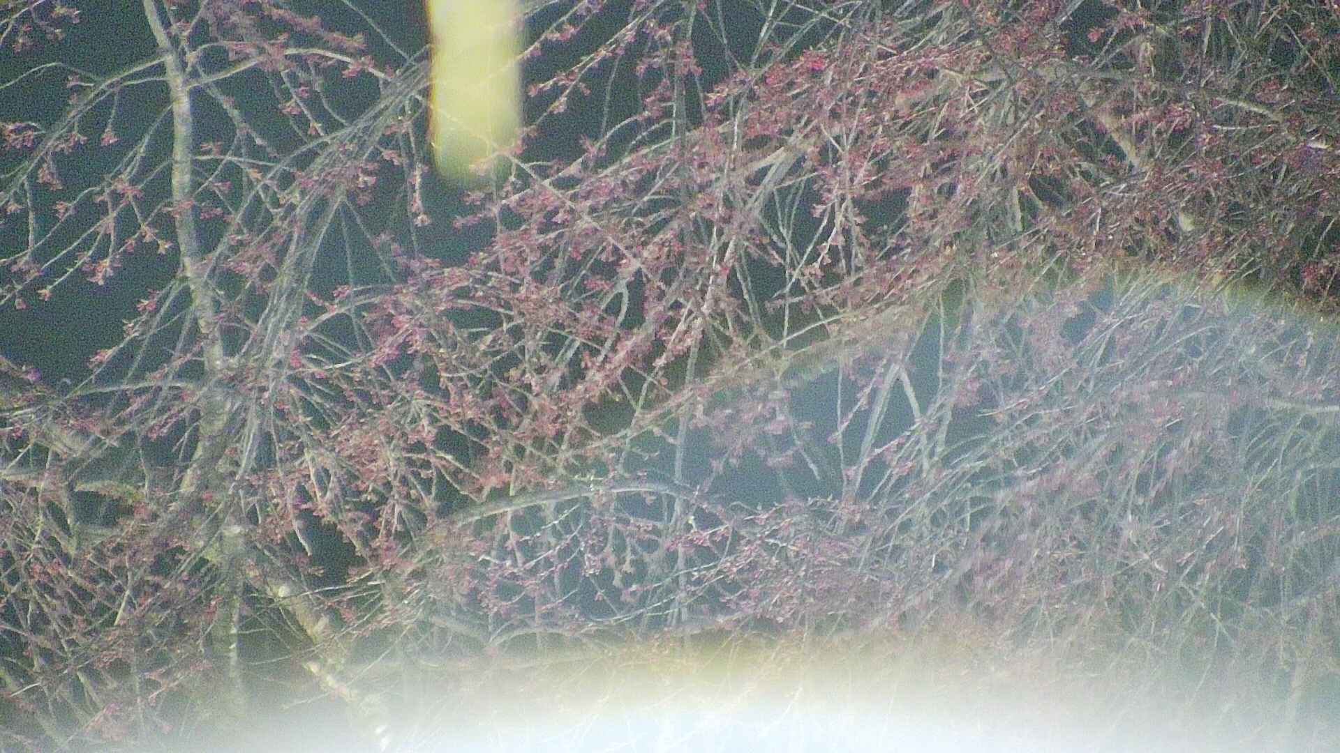 area5-20250416215053.jpg