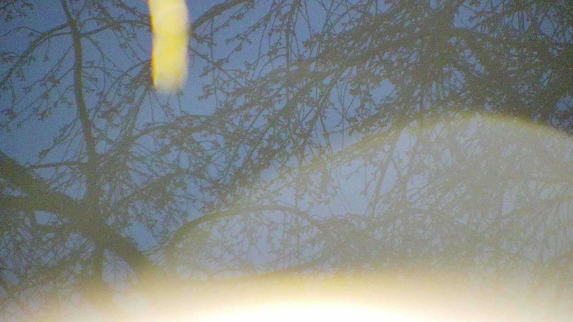 area5-20250417042054.jpg
