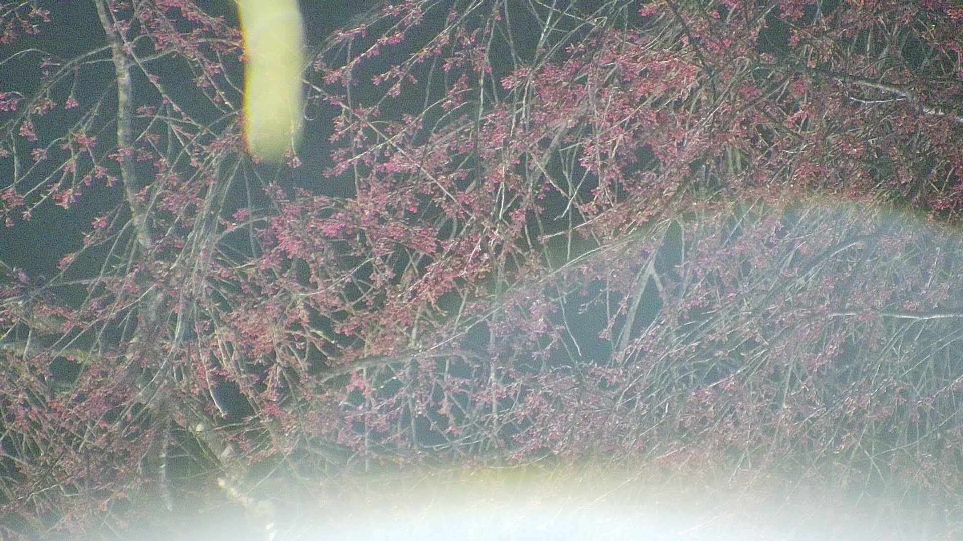 area5-20250417211054.jpg