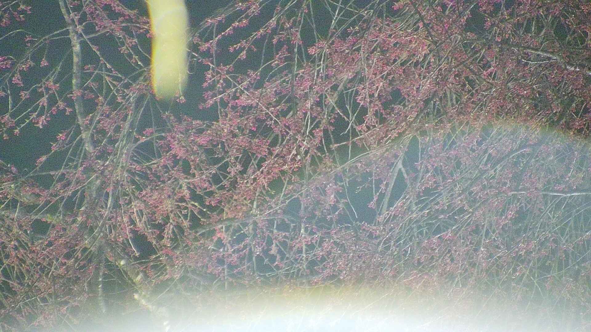 area5-20250417212054.jpg