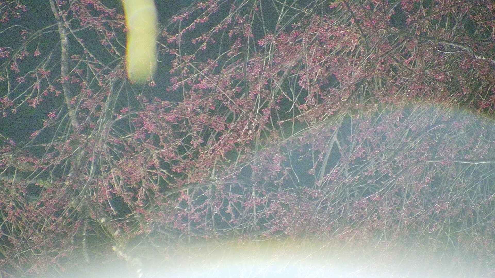 area5-20250417214053.jpg