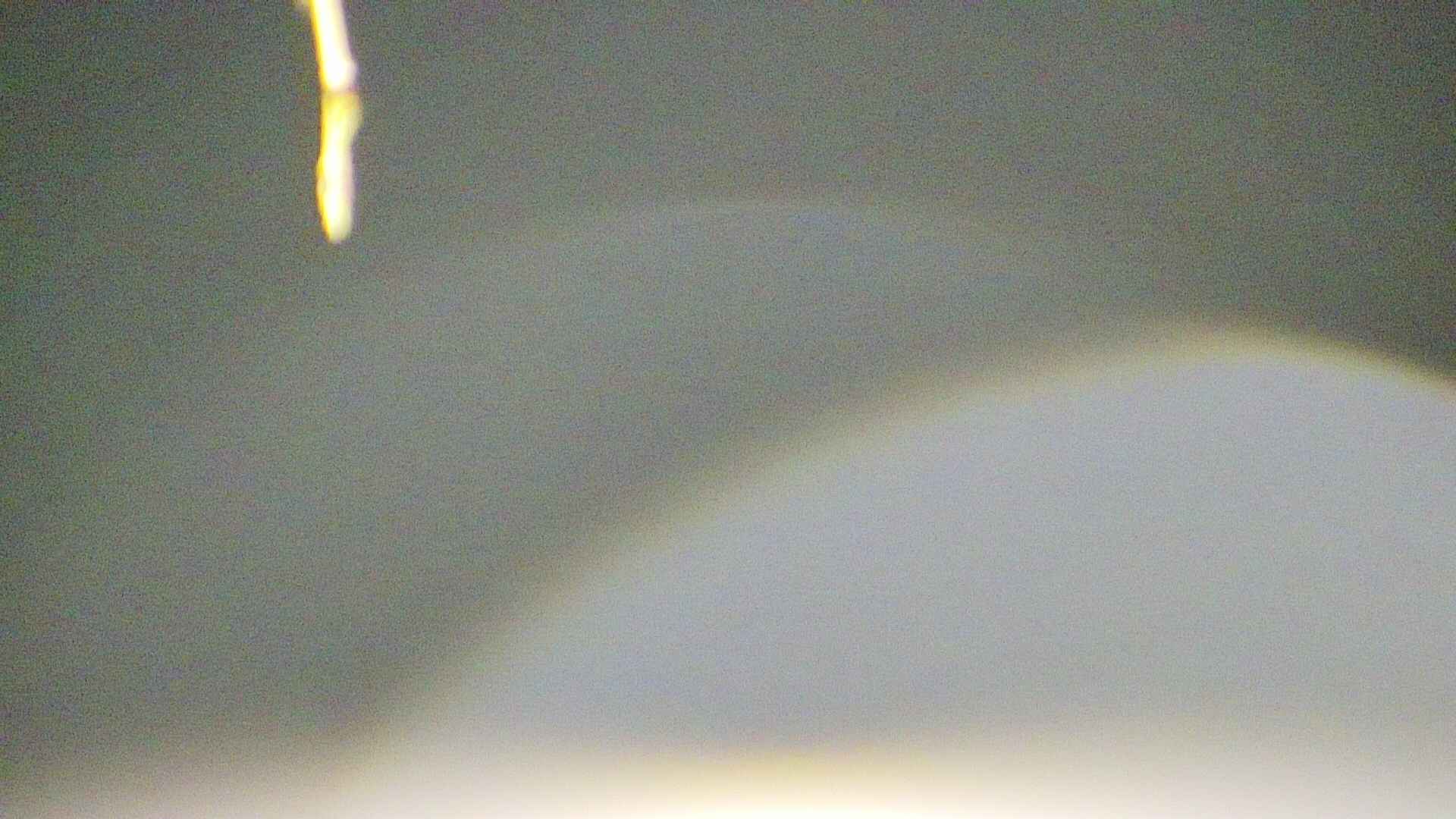 area5-20250418032052.jpg