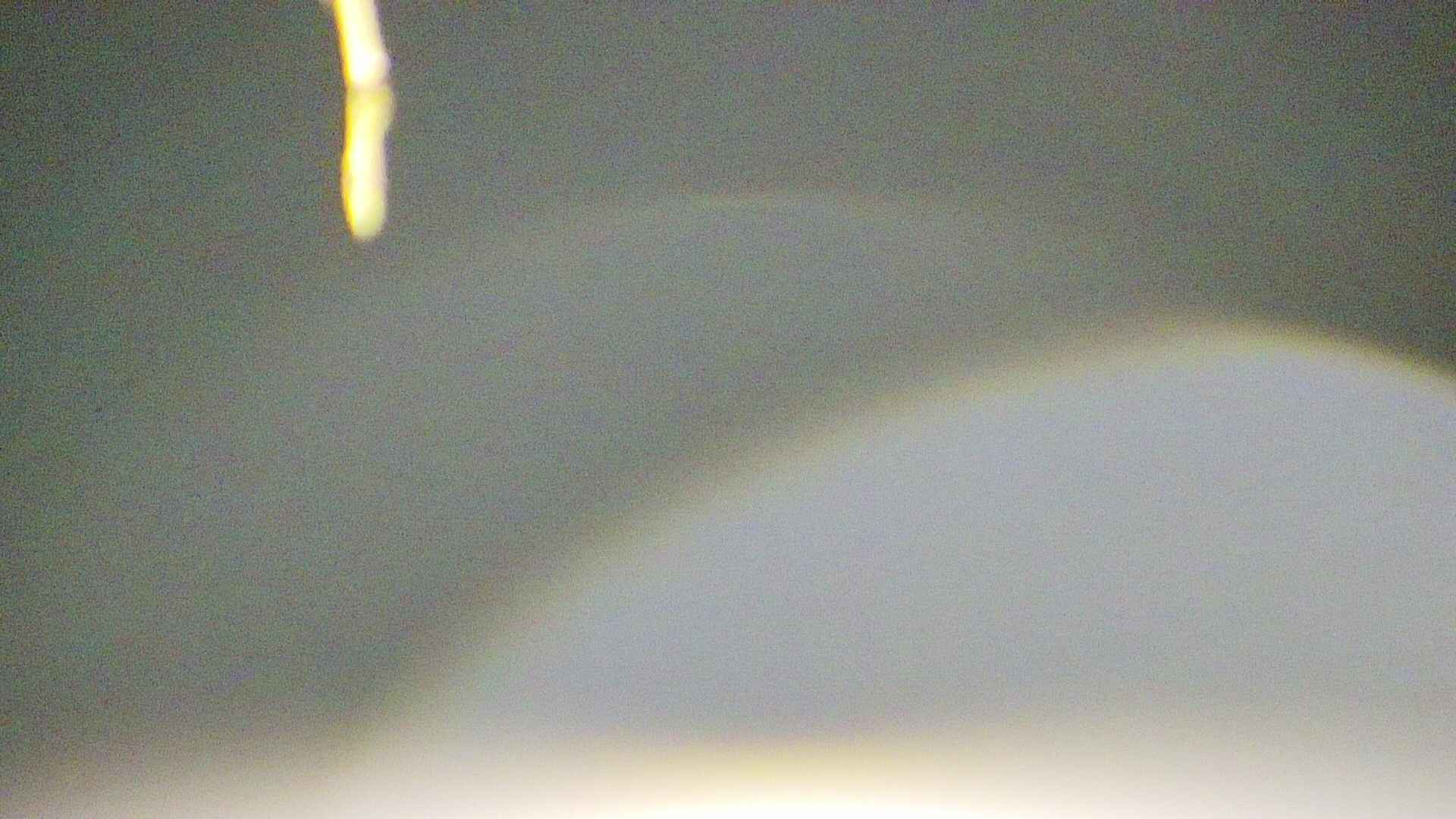 area5-20250418041054.jpg