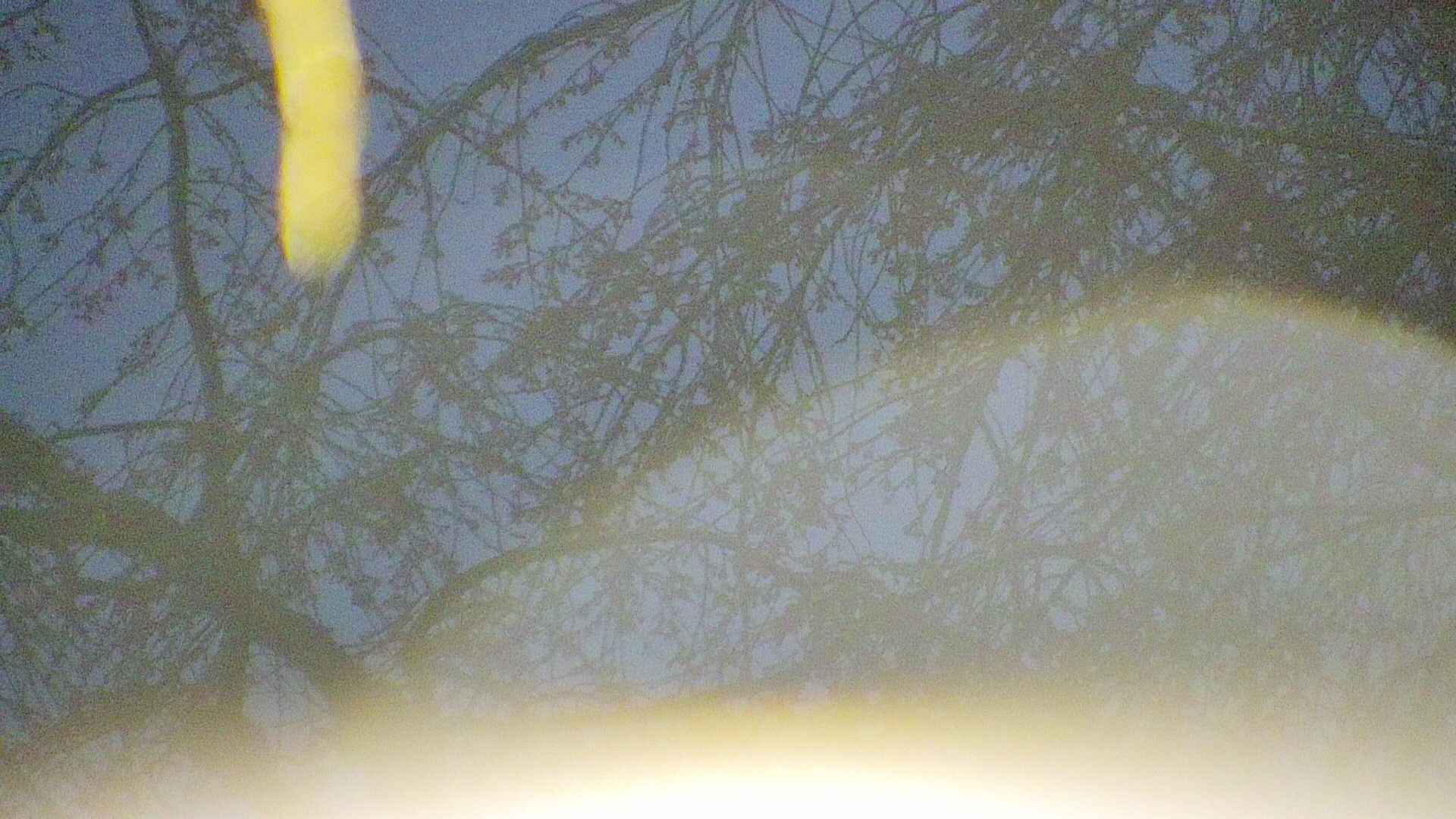 area5-20250418043107.jpg