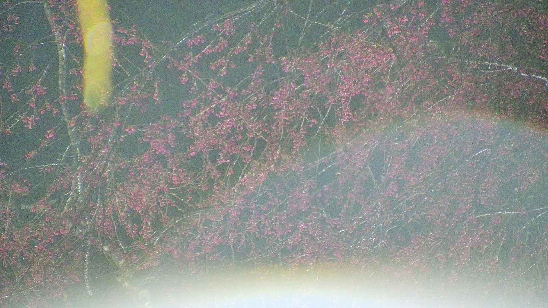 area5-20250418214054.jpg