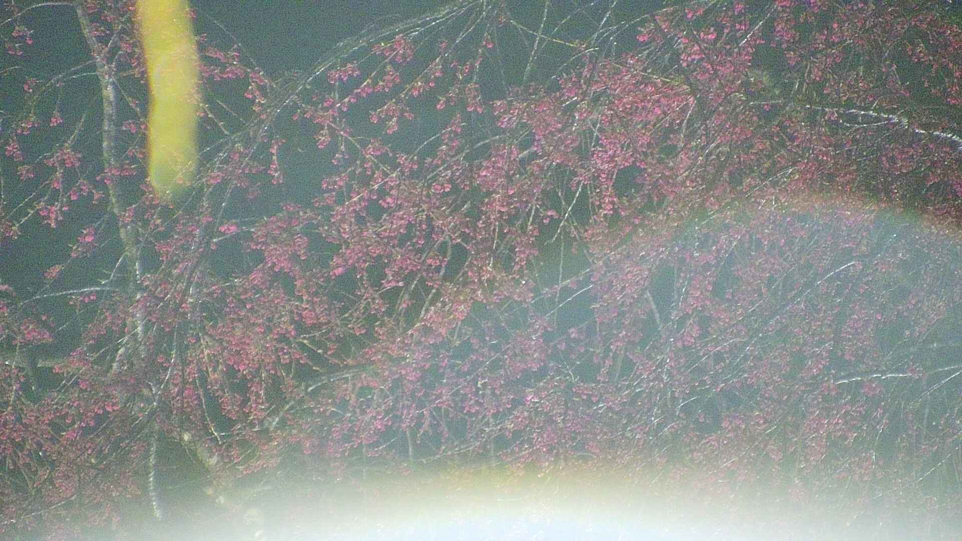area5-20250418215054.jpg