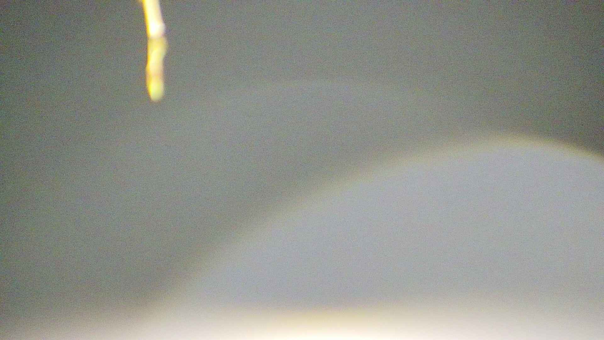 area5-20250419034053.jpg