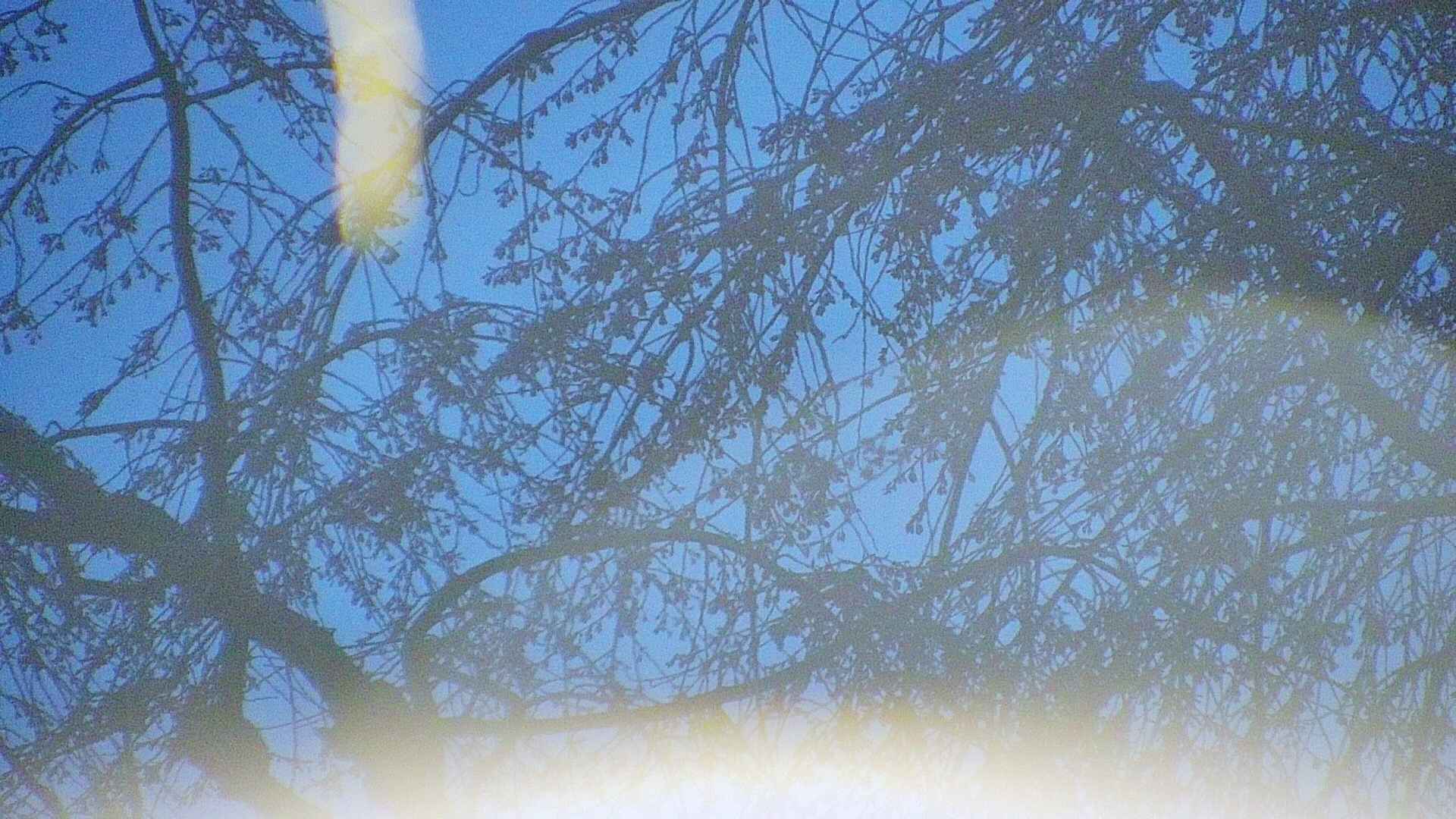 area5-20250419043053.jpg