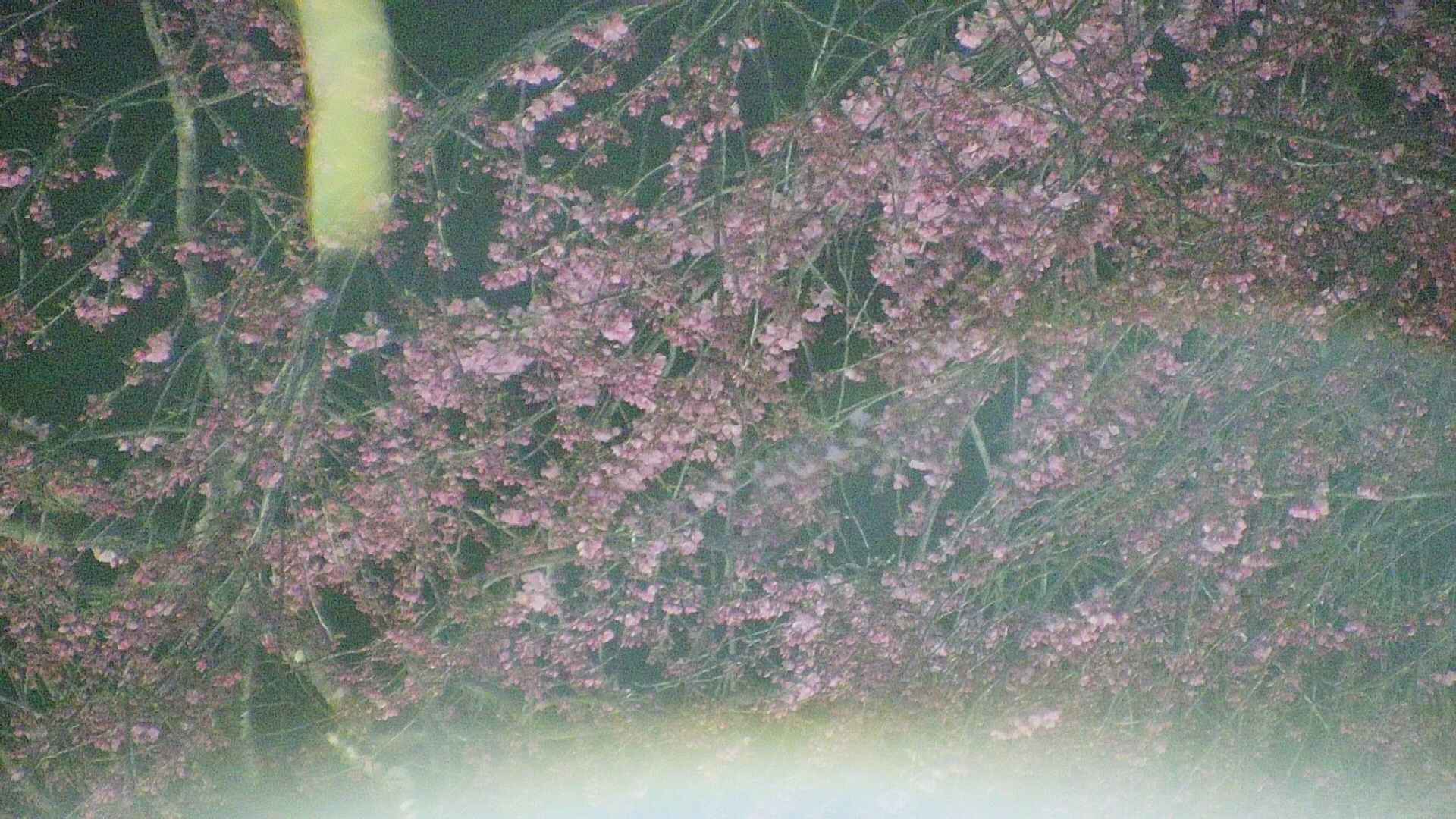 area5-20250419211053.jpg