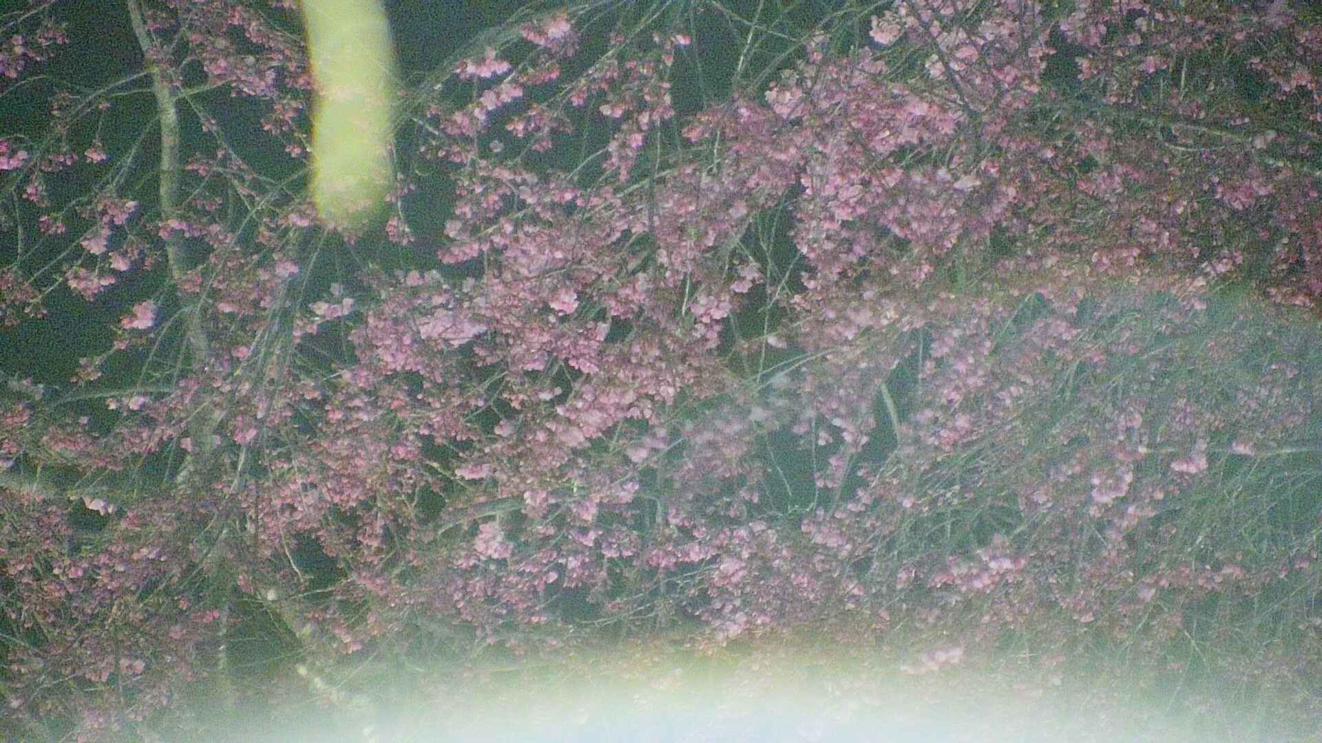 area5-20250419213053.jpg
