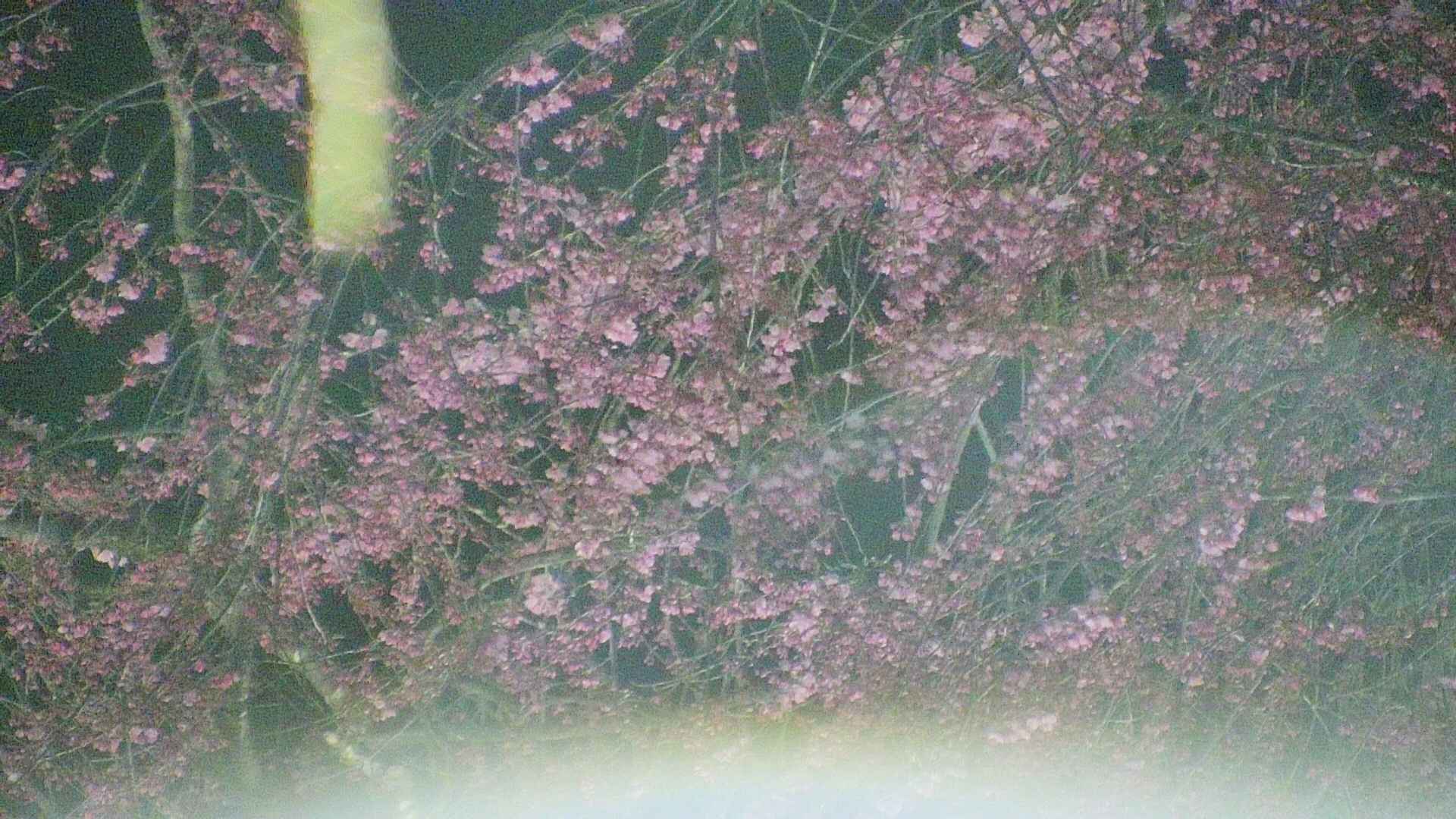 area5-20250419214053.jpg
