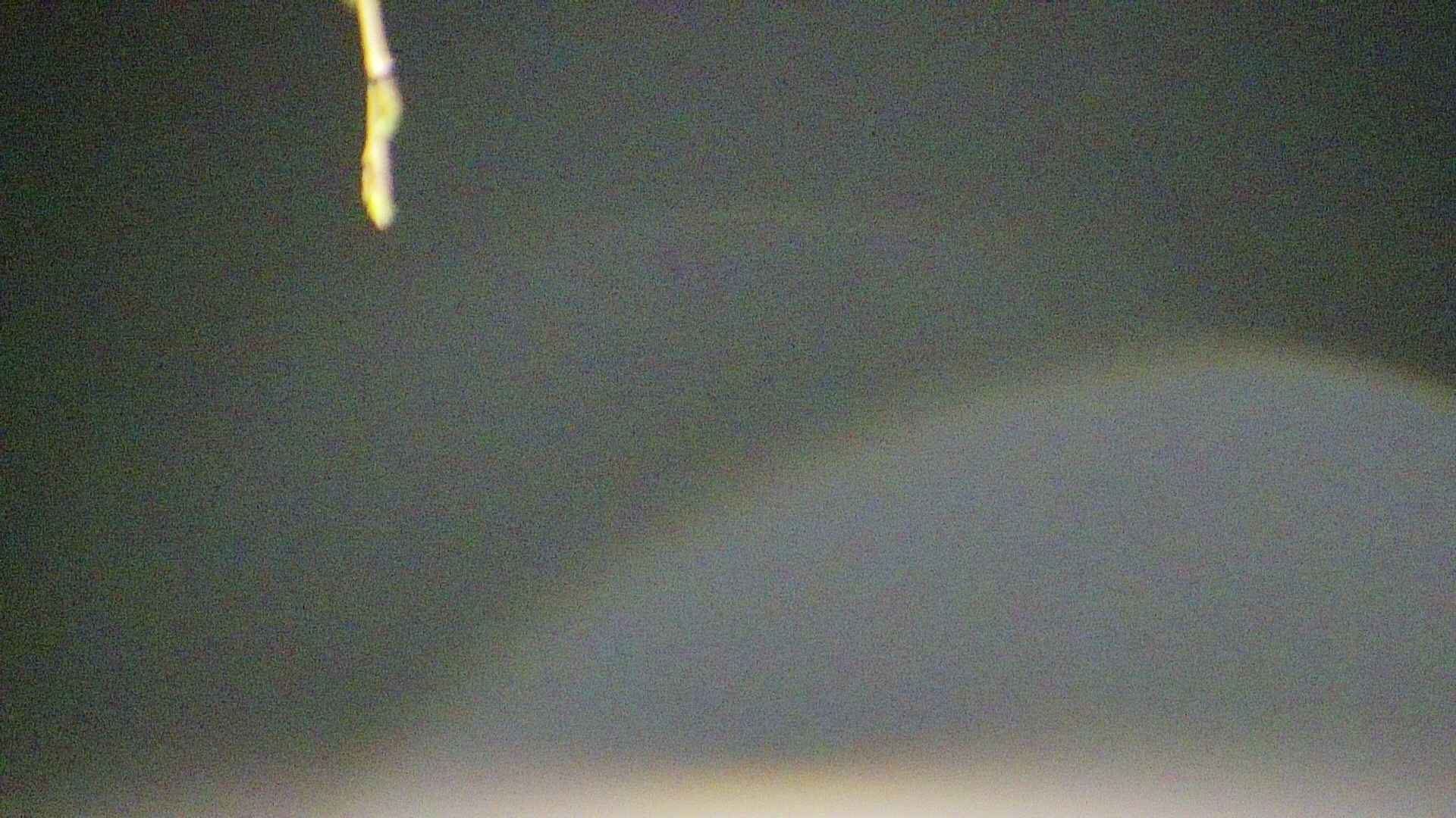 area5-20250420014053.jpg