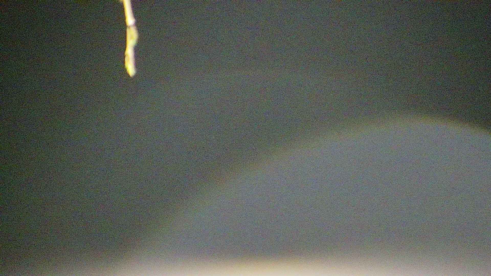 area5-20250420022053.jpg