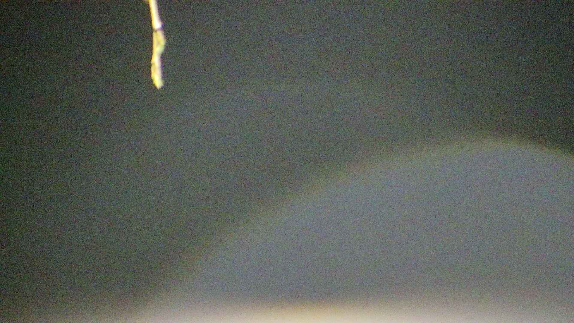 area5-20250420023053.jpg