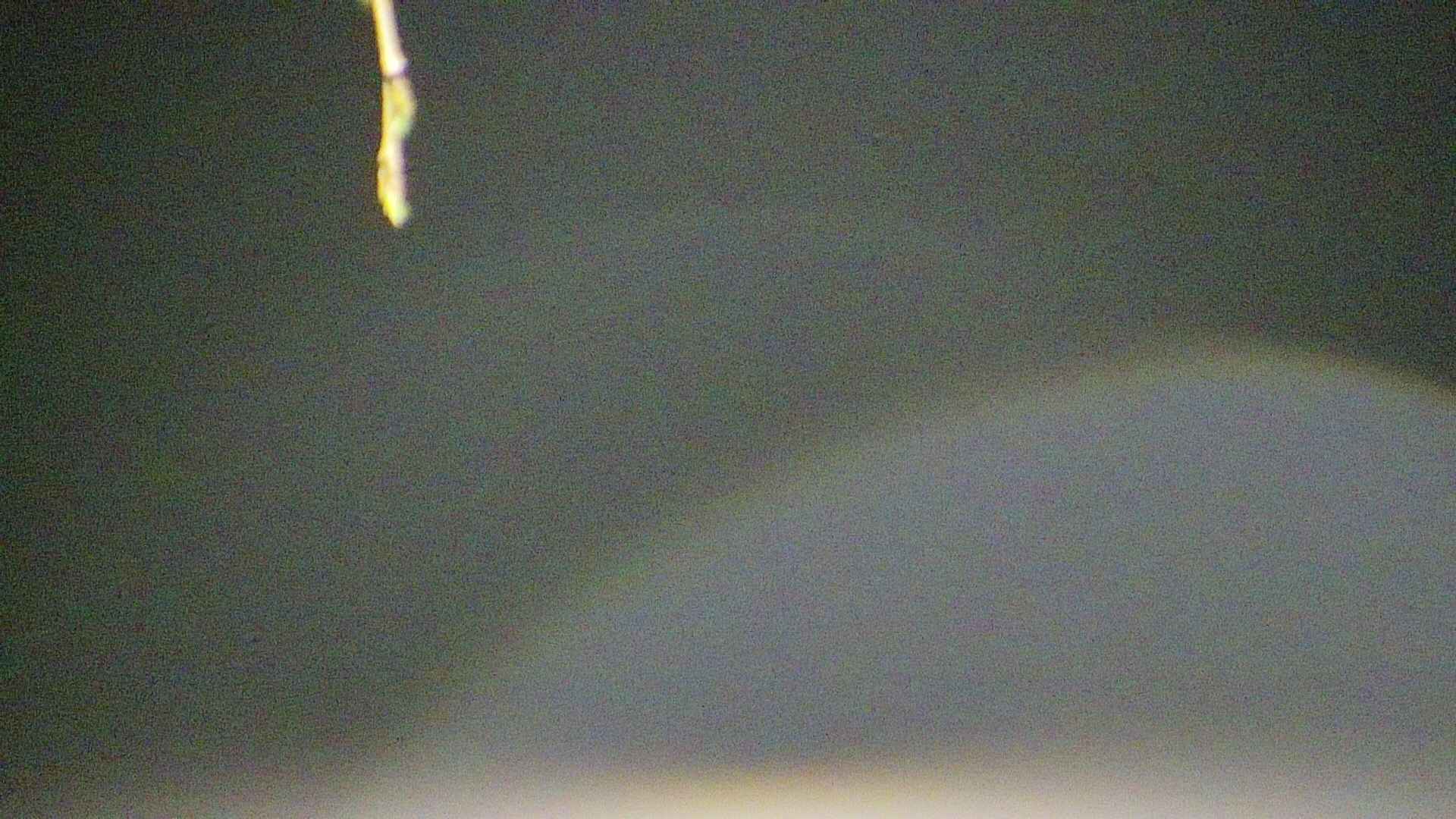 area5-20250420024053.jpg