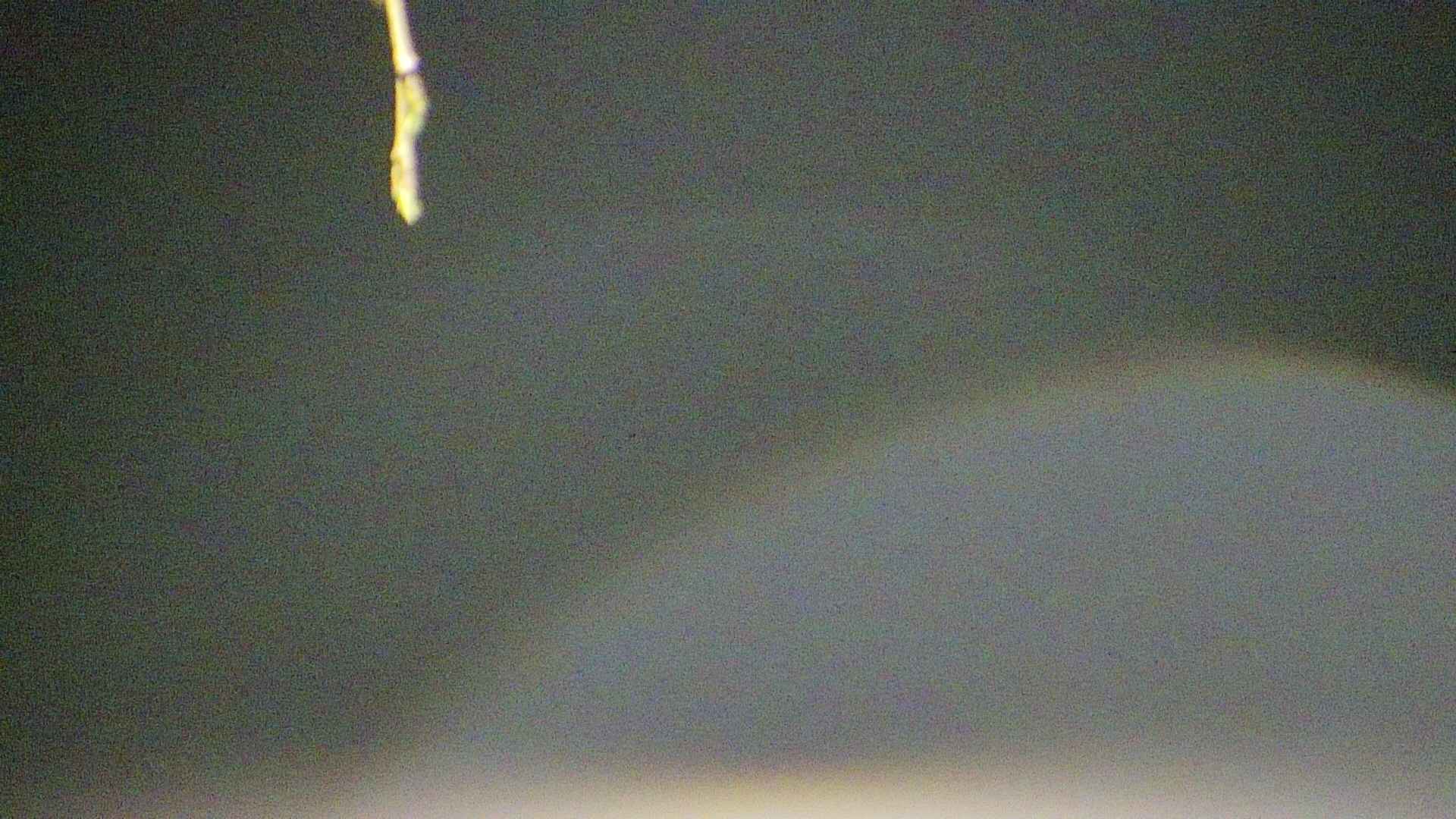 area5-20250420025054.jpg