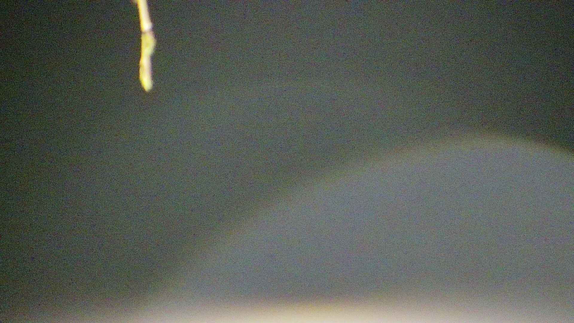 area5-20250420032053.jpg