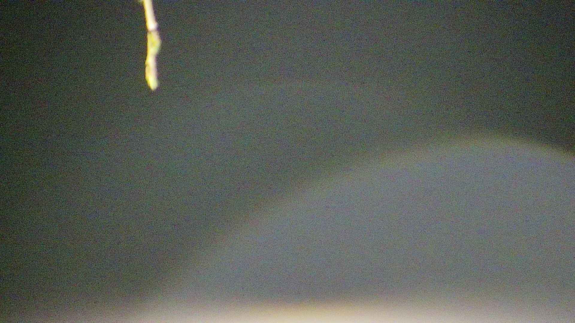 area5-20250420034052.jpg
