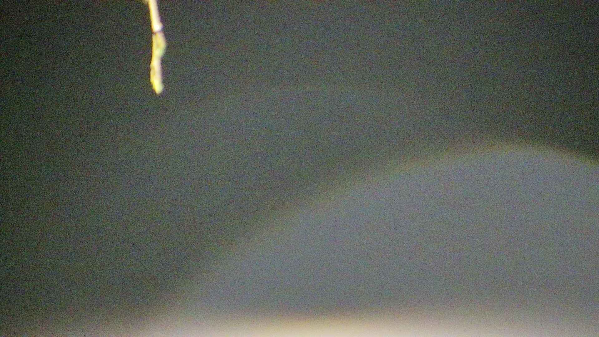 area5-20250420035053.jpg