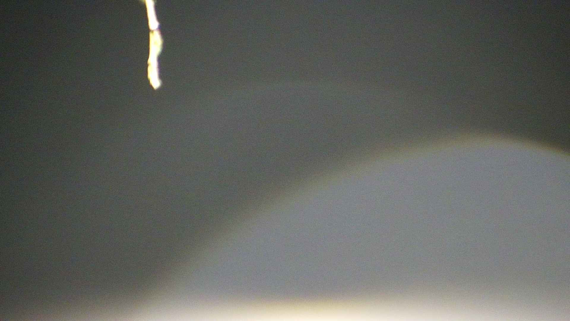 area5-20250421014054.jpg