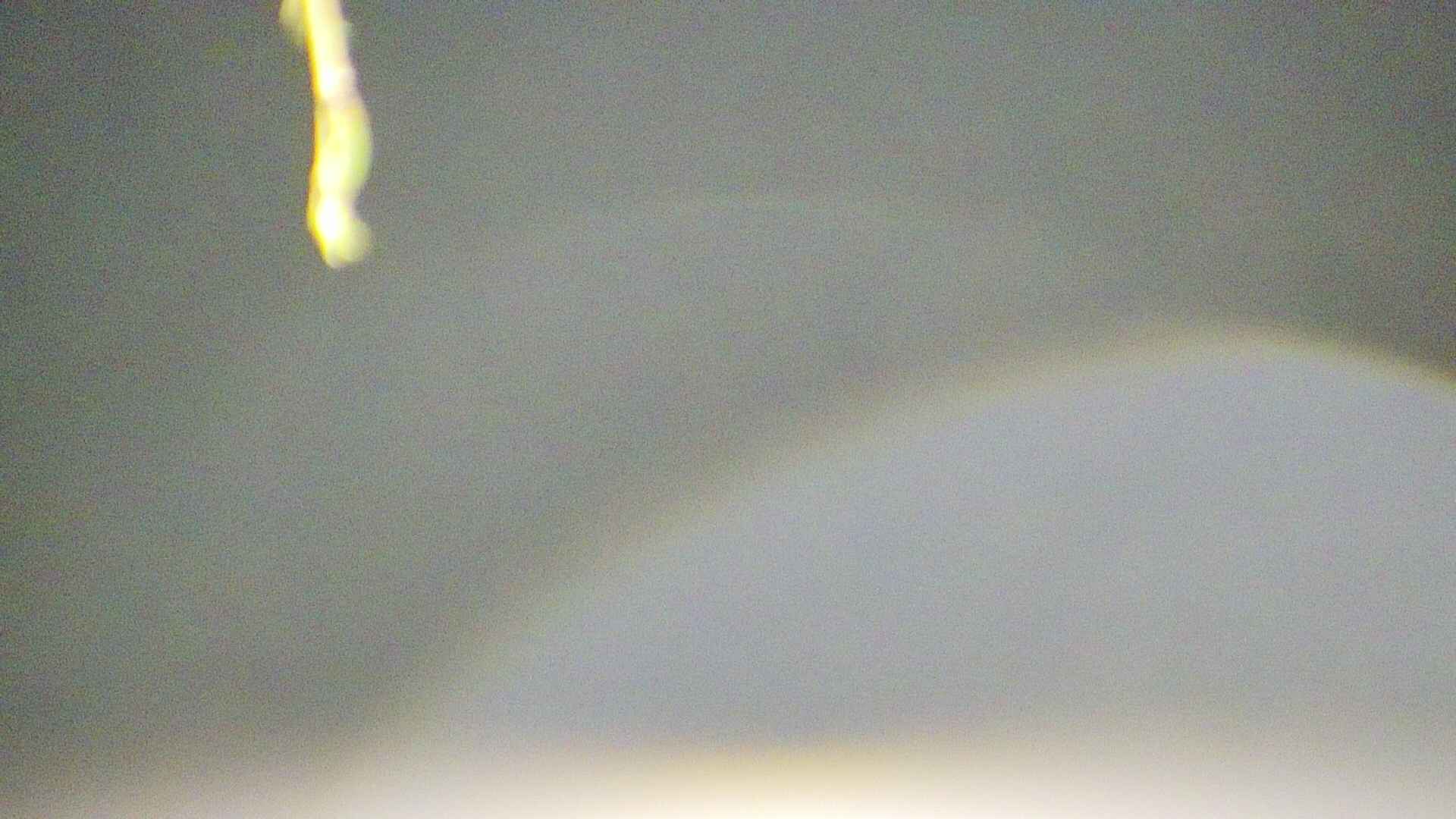 area5-20250423024054.jpg