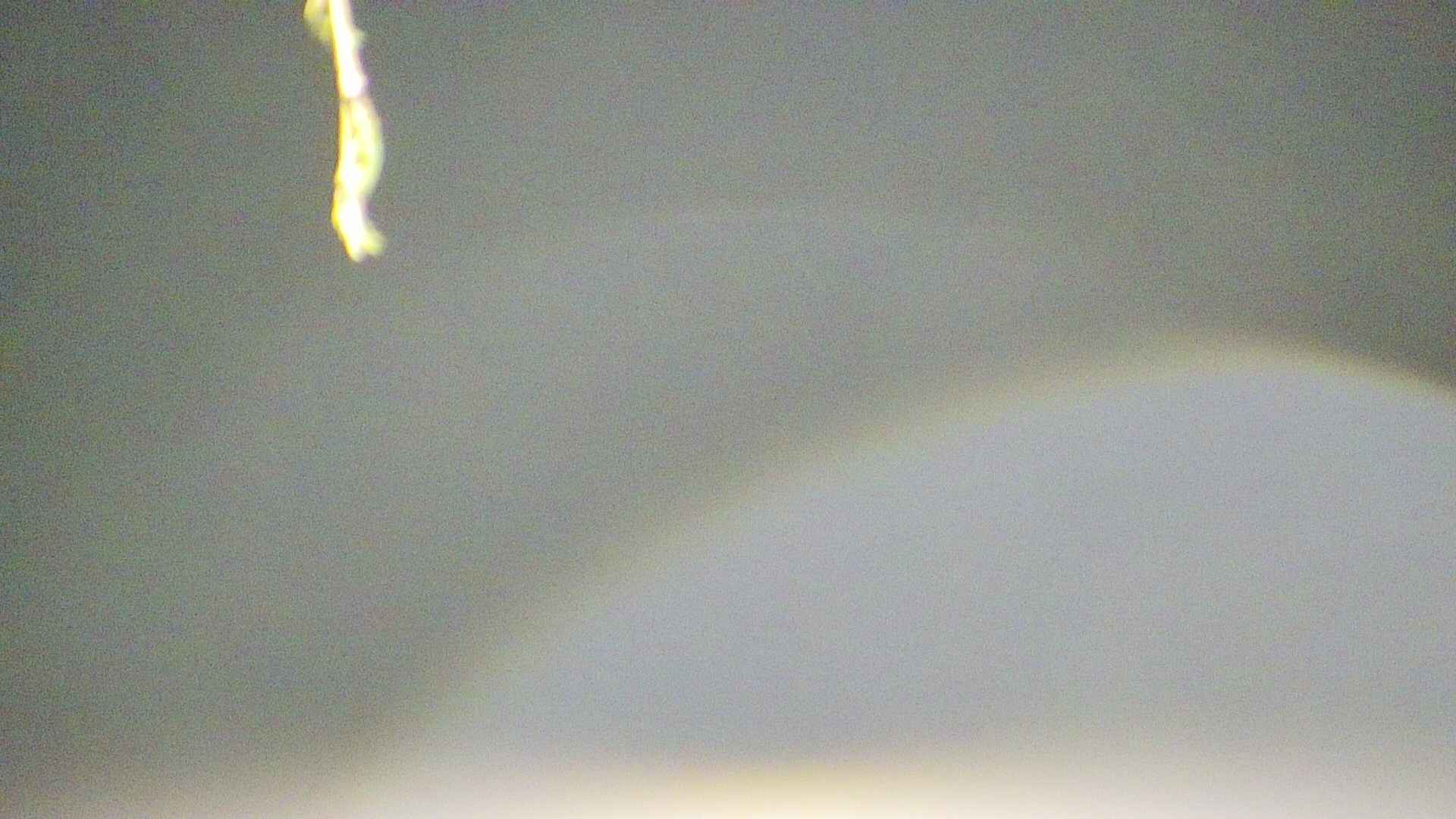 area5-20250423033053.jpg