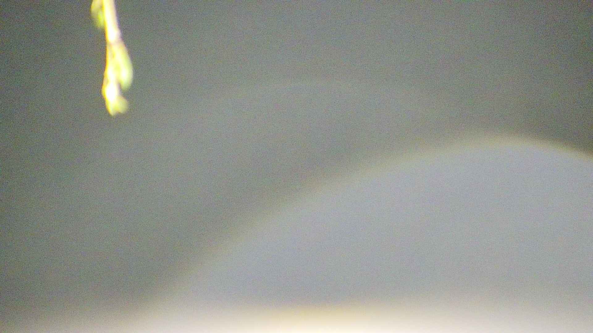 area5-20250424022053.jpg