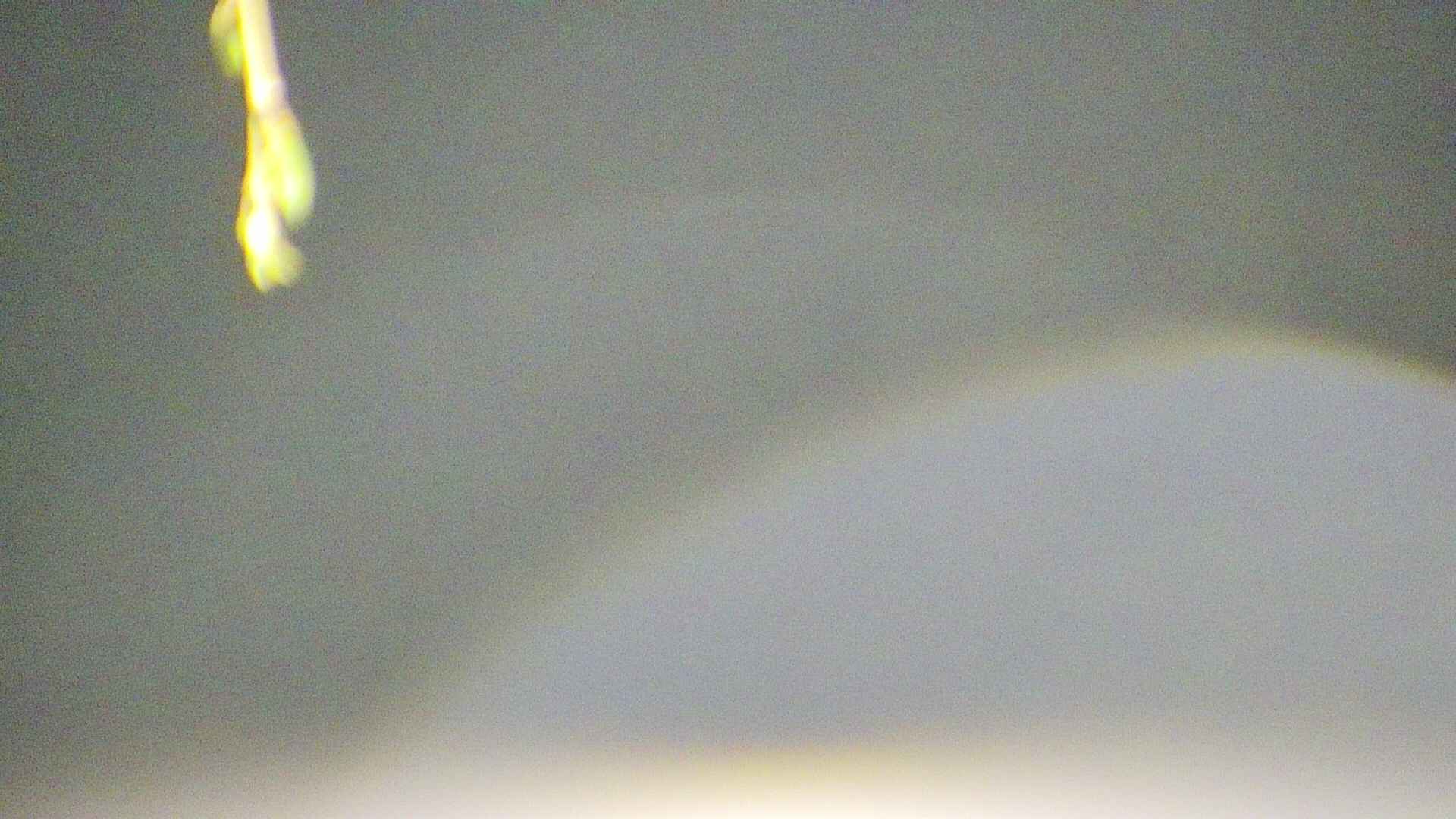 area5-20250424023053.jpg