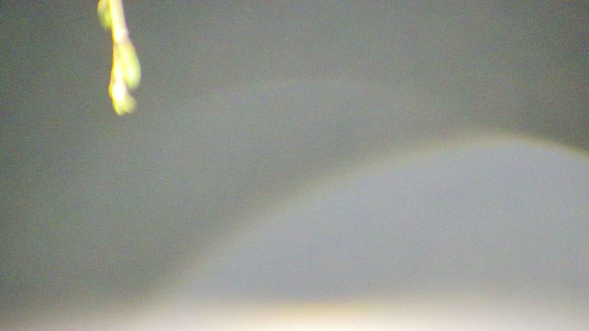 area5-20250424024054.jpg