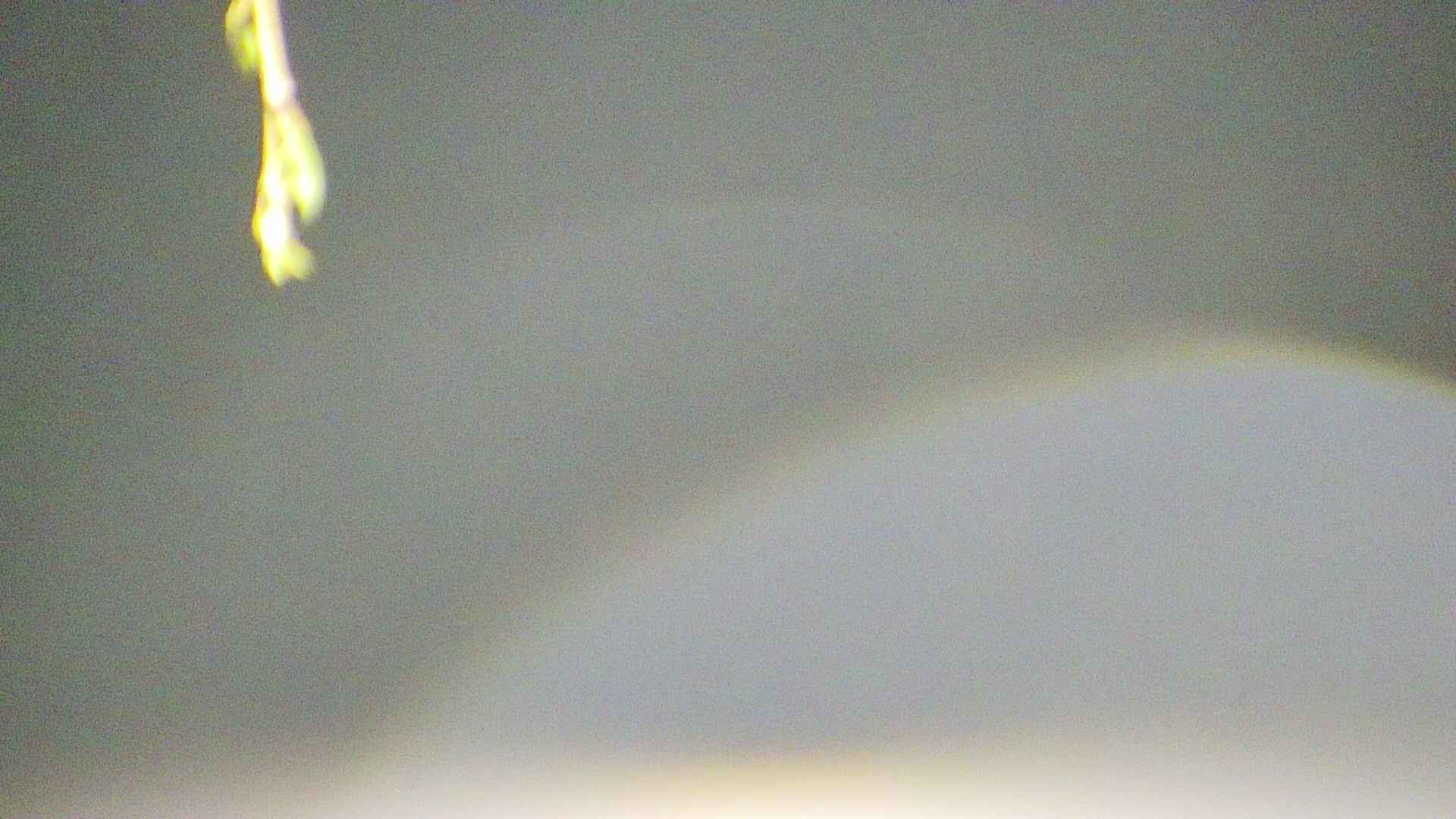 area5-20250424025054.jpg