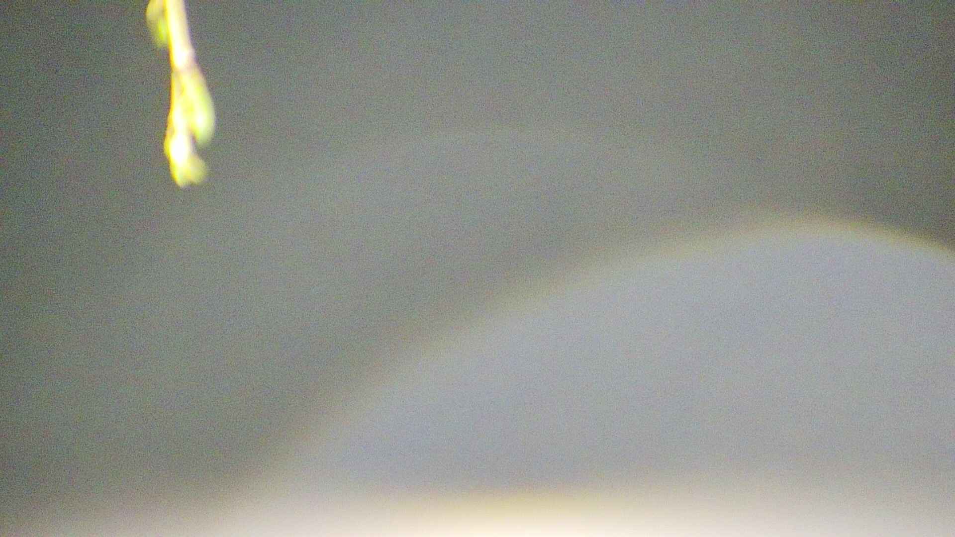 area5-20250424033053.jpg