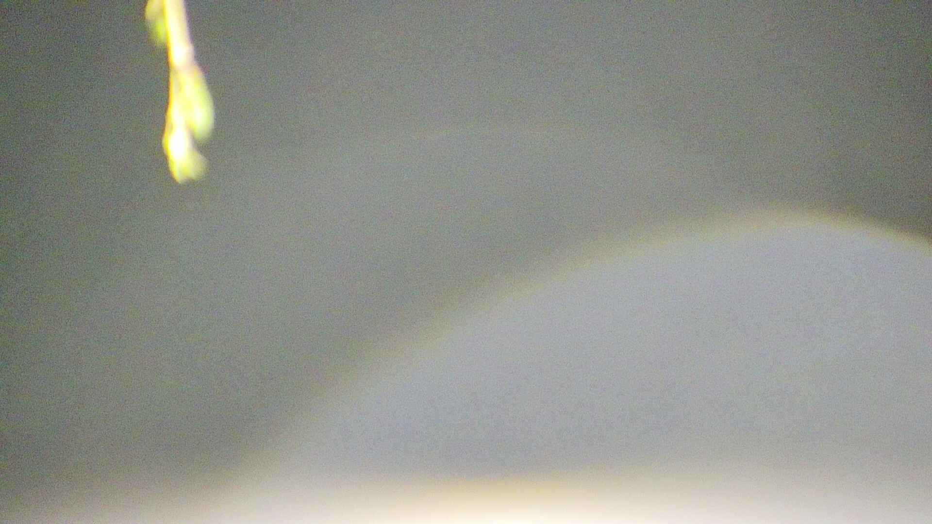 area5-20250424034054.jpg