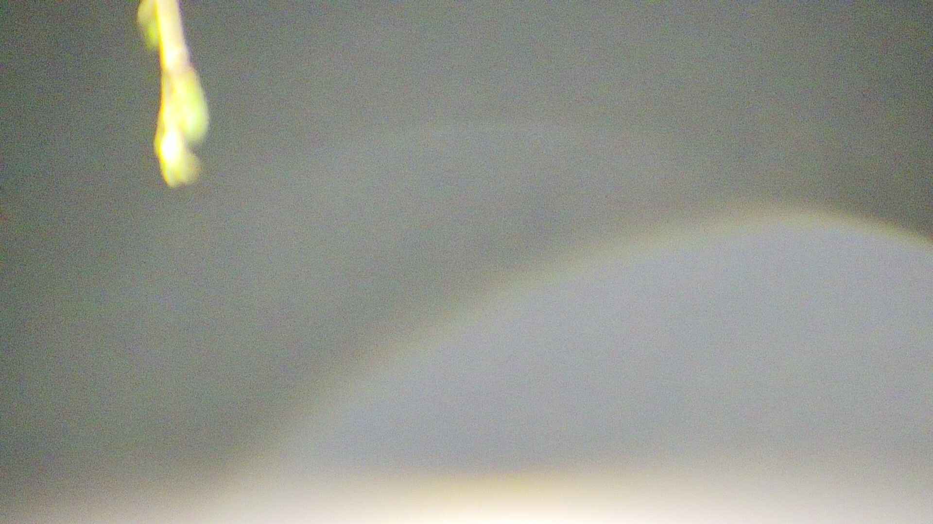 area5-20250424035052.jpg