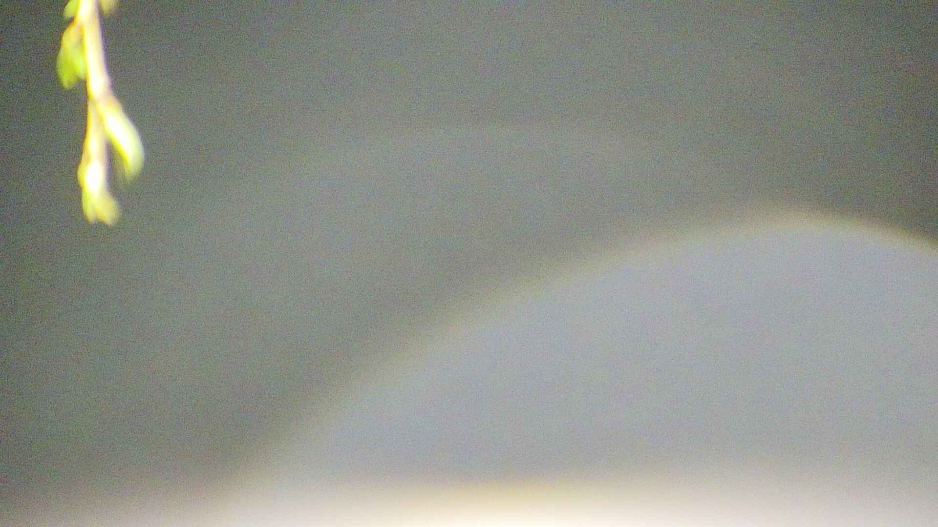 area5-20250425021054.jpg