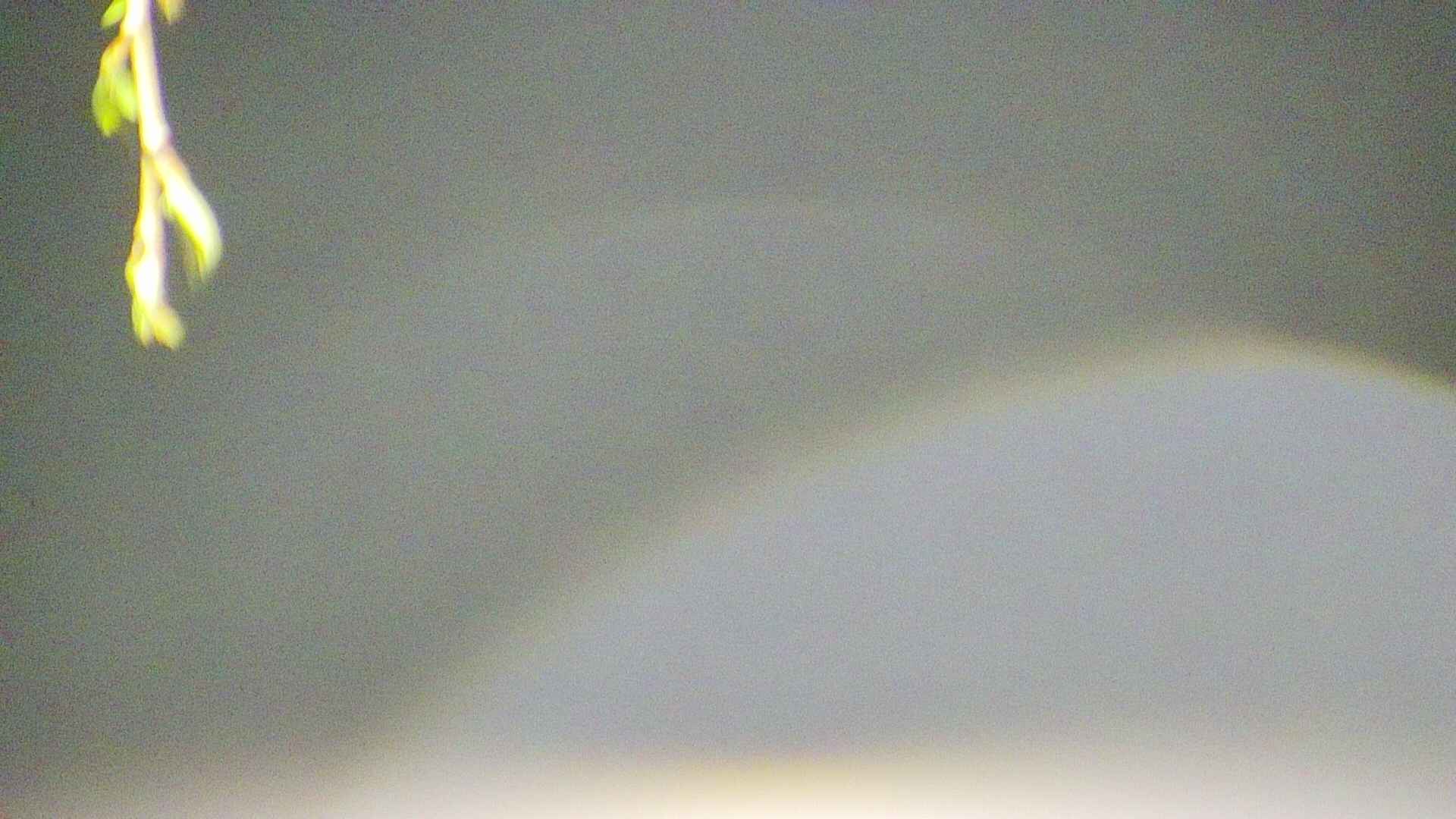 area5-20250425024053.jpg