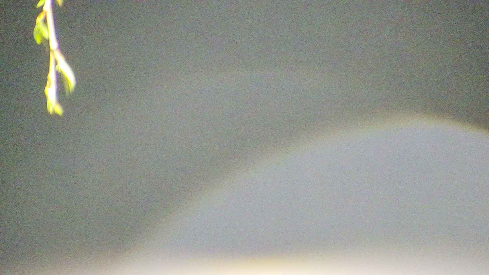 area5-20250425025053.jpg
