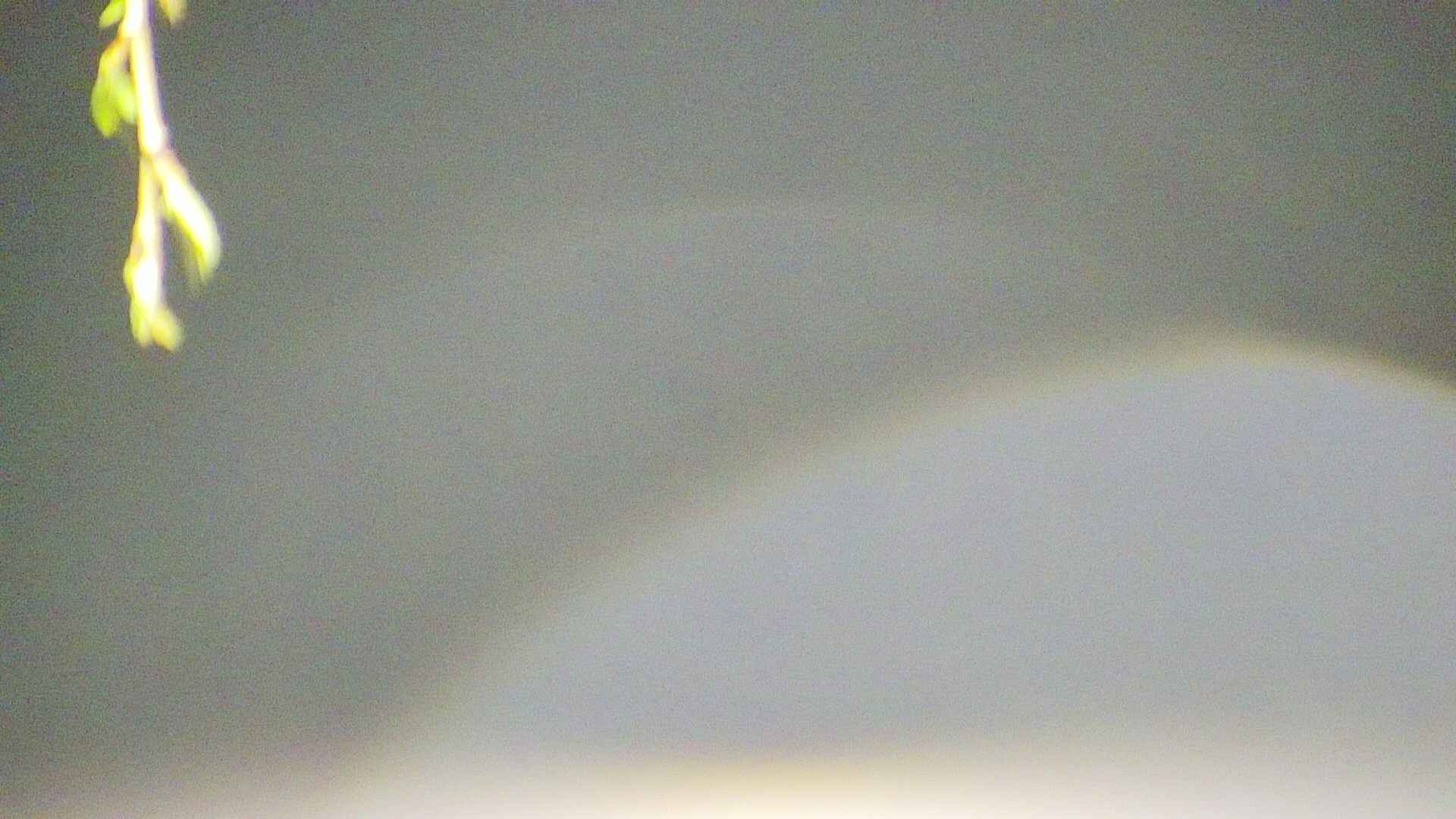 area5-20250425032052.jpg