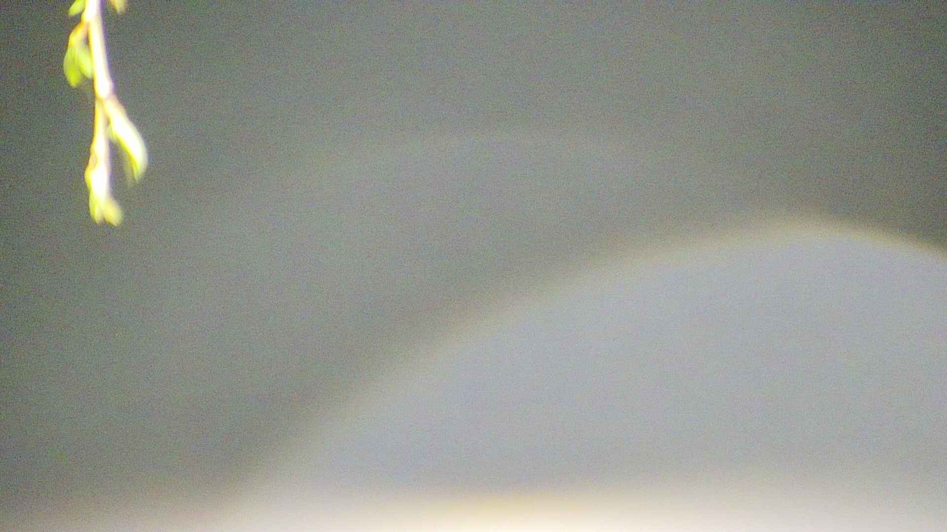 area5-20250425033053.jpg