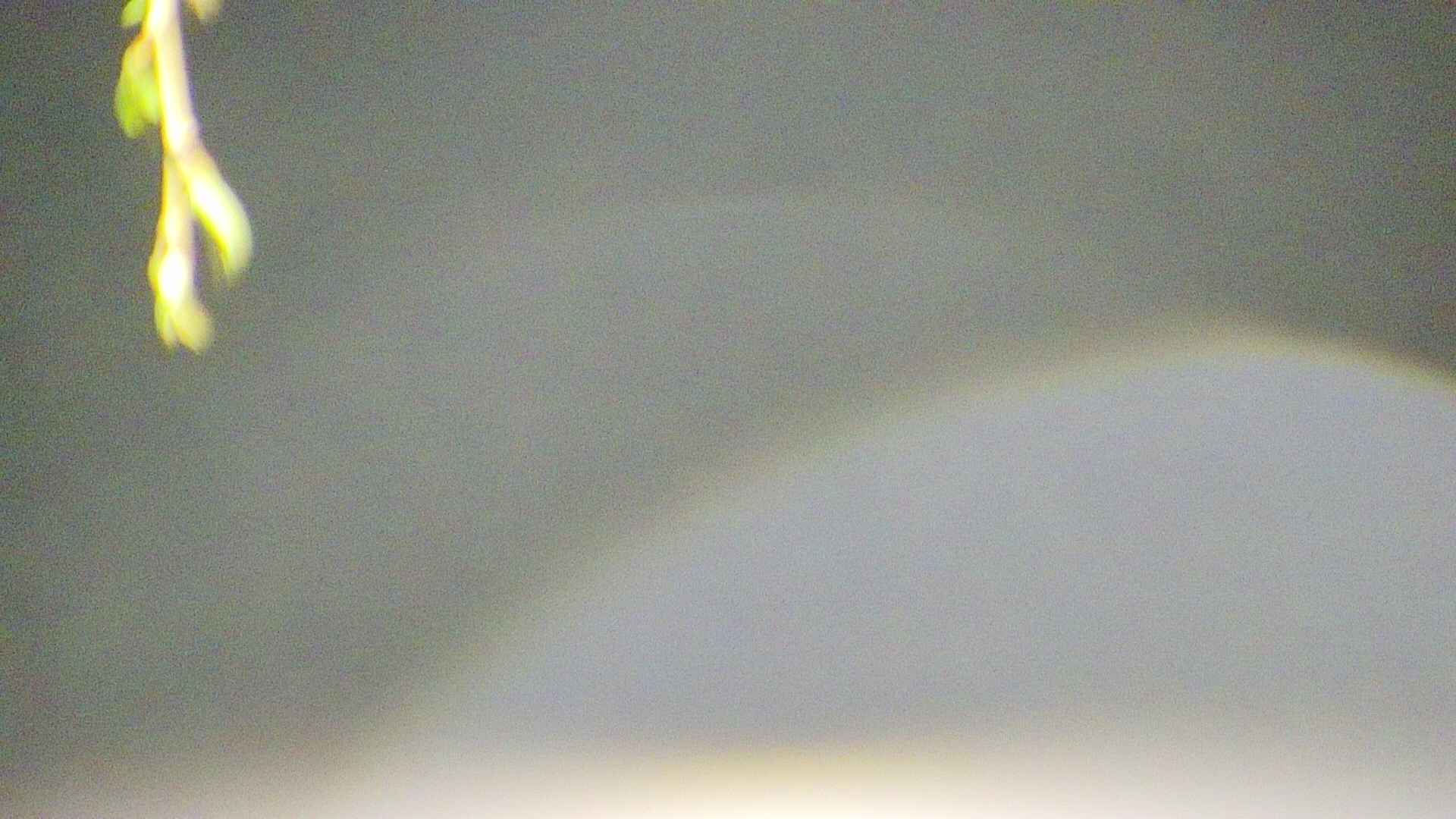 area5-20250425035053.jpg